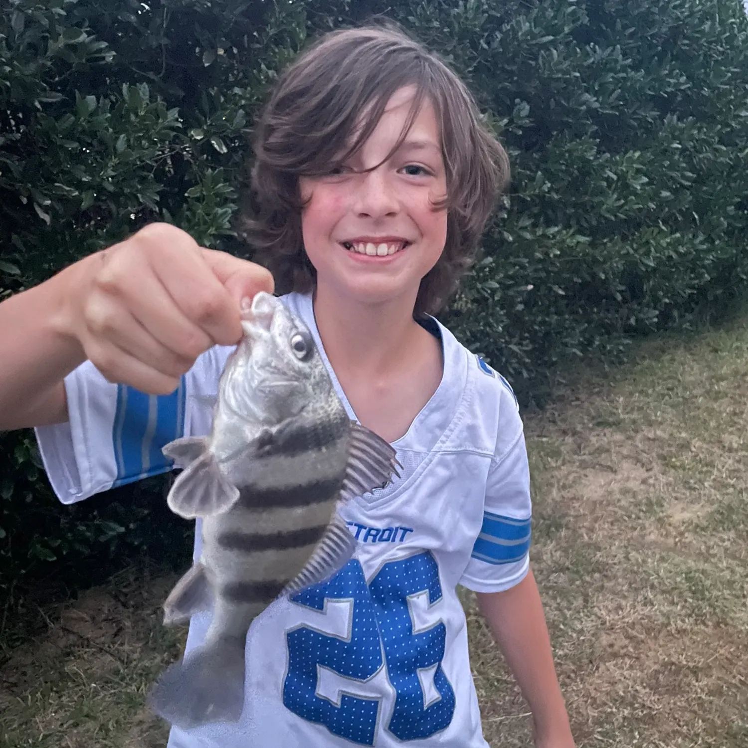 Black drum caught on Fishbrain