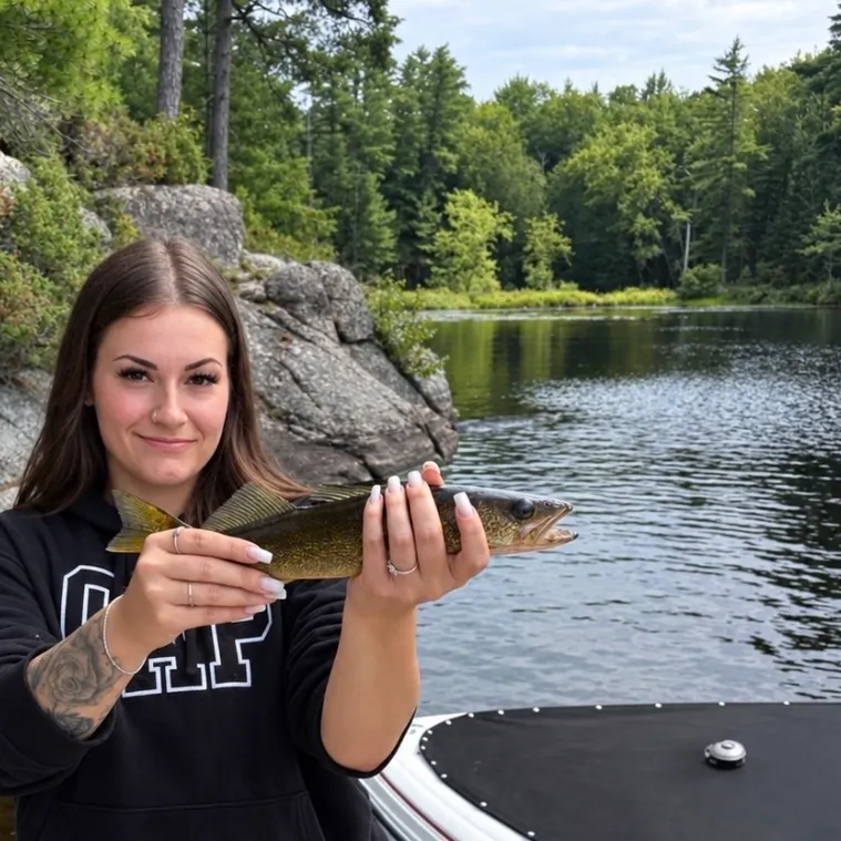 Walleye caught on Fishbrain