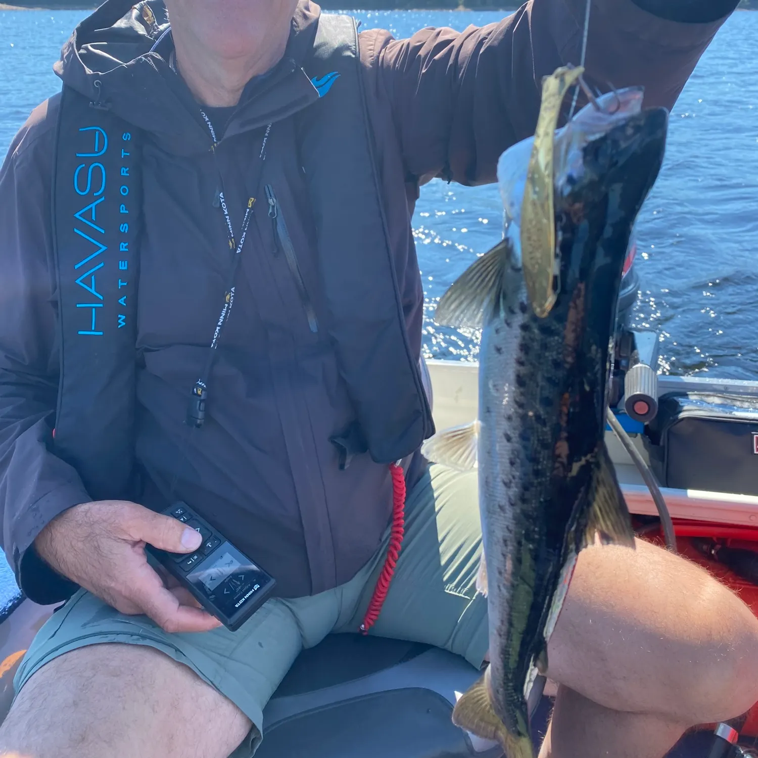 Landlocked atlantic salmon caught on Fishbrain