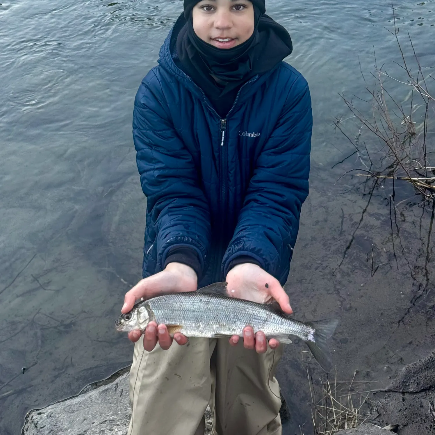 The most recent Mountain whitefish catches on Fishbrain