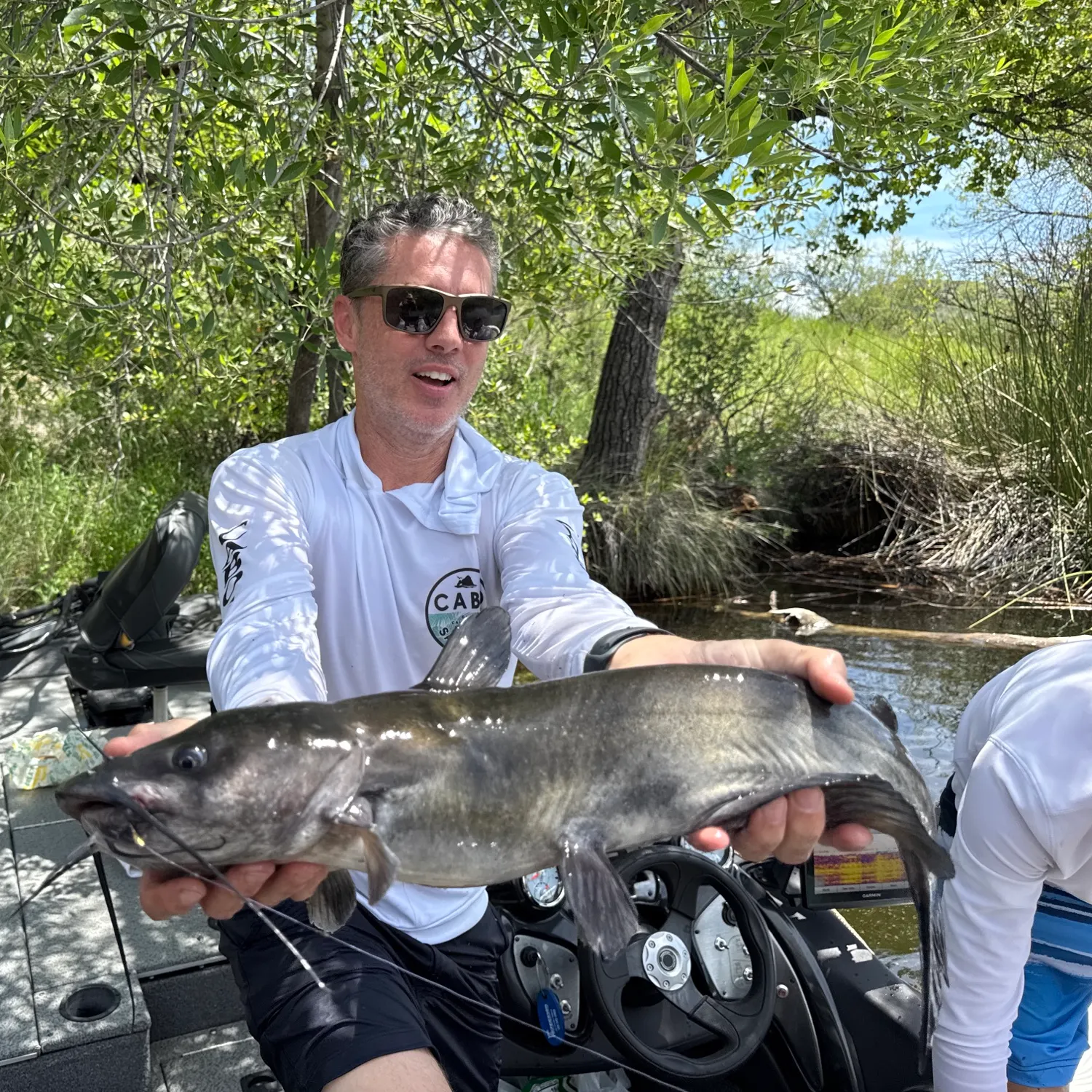 Channel catfish caught on Fishbrain