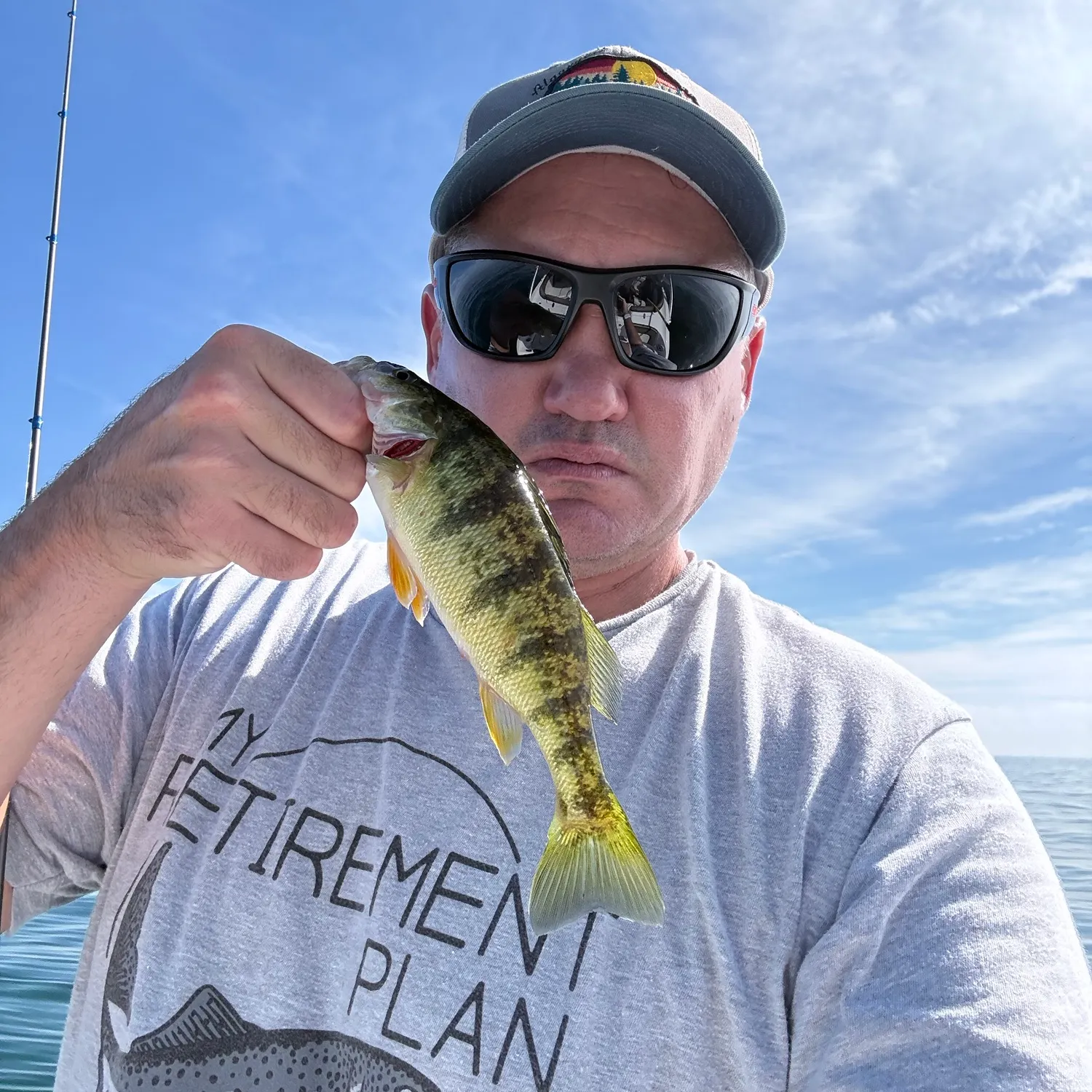 Yellow perch caught on Fishbrain