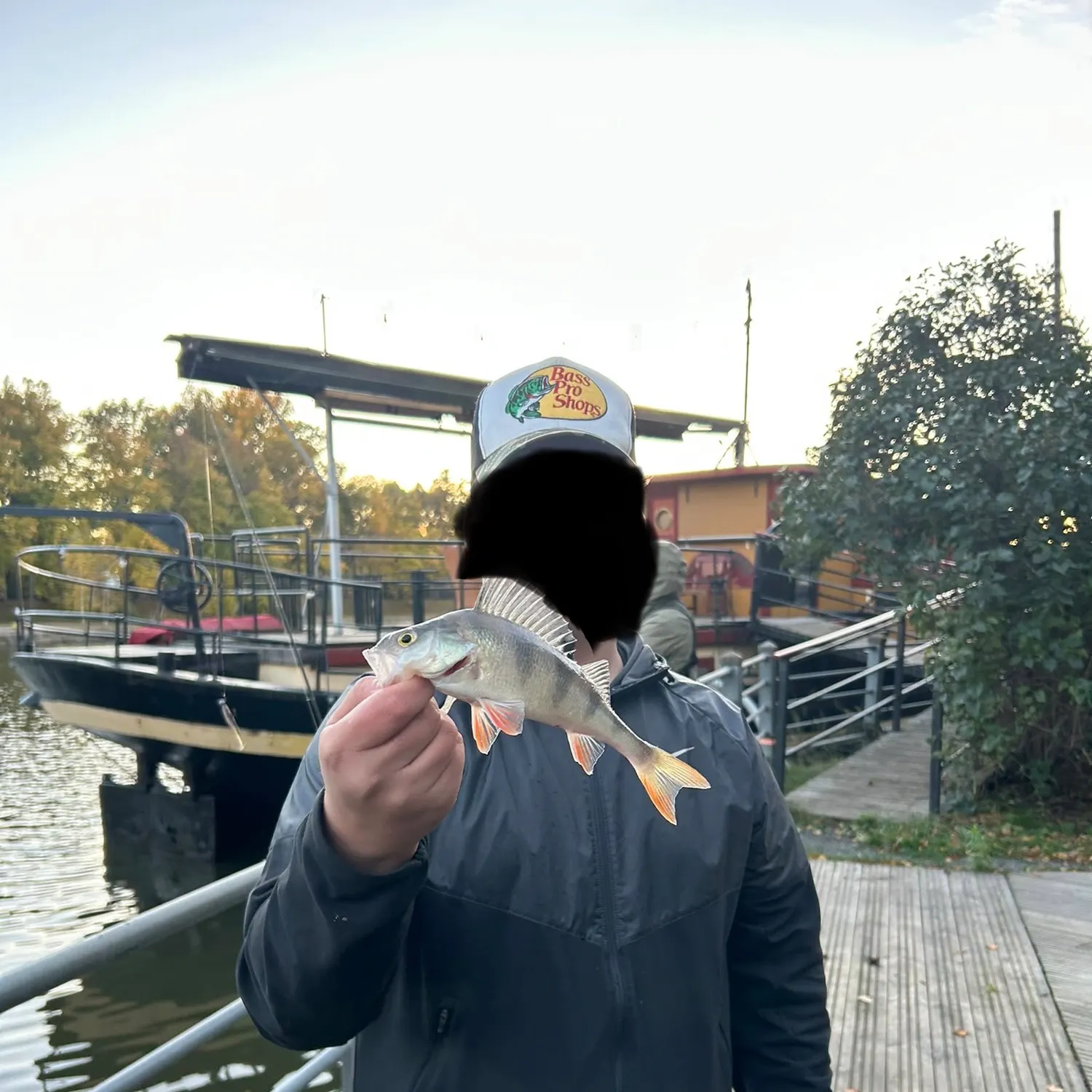 European perch caught on Fishbrain