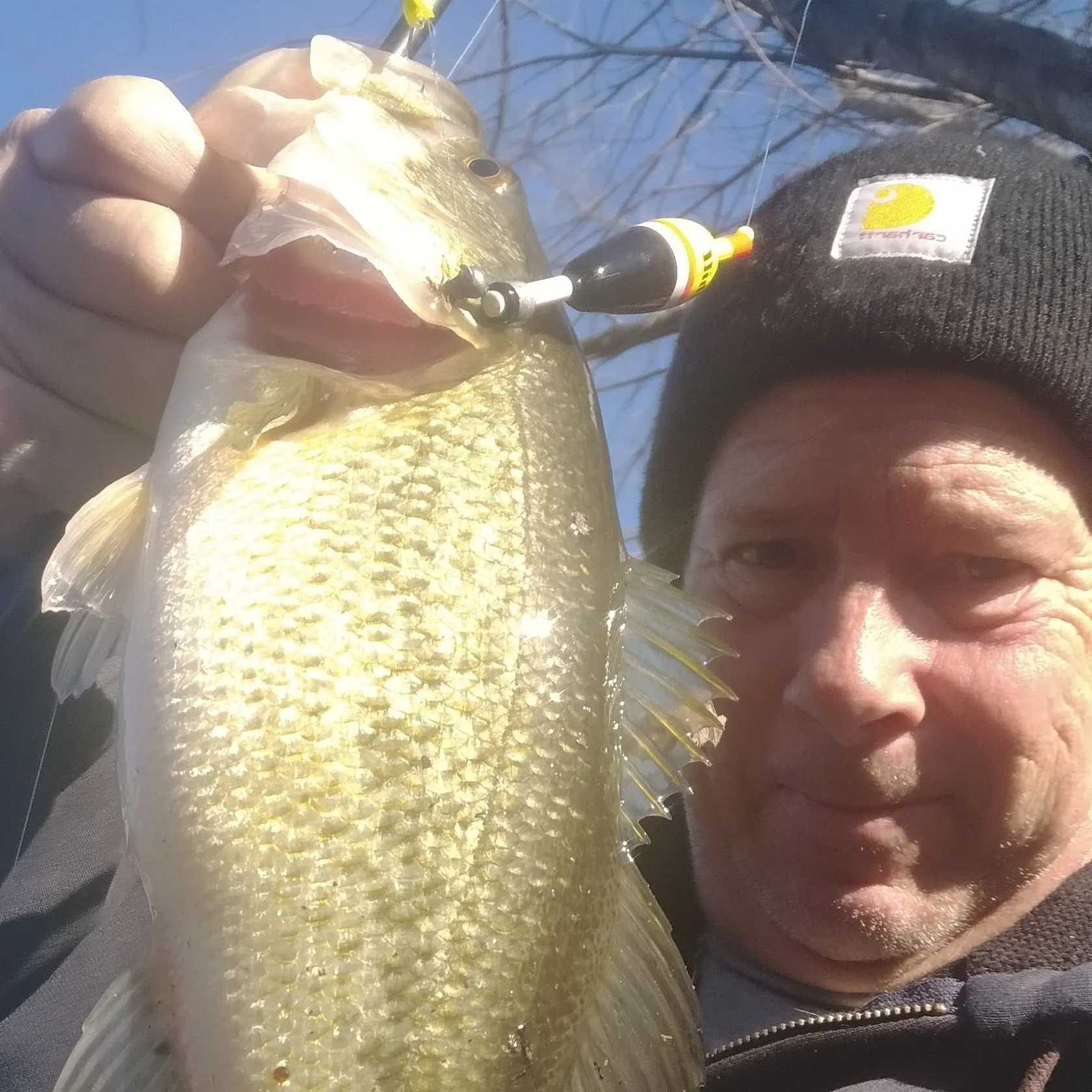 The most recent Largemouth bass catches on Fishbrain