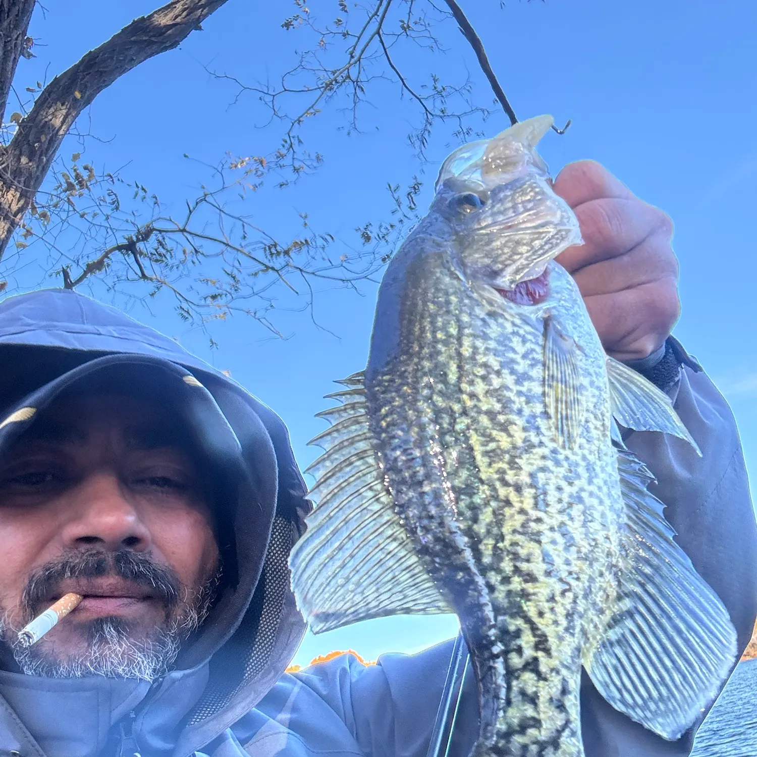 Black crappie caught on Fishbrain