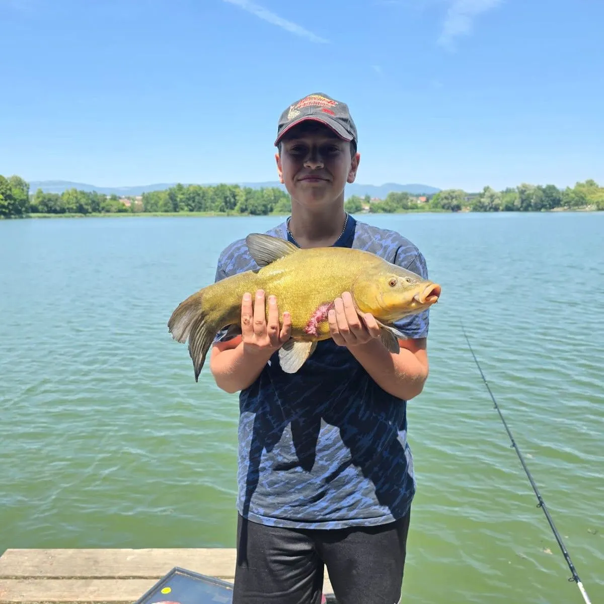 The most recent Tench catches on Fishbrain