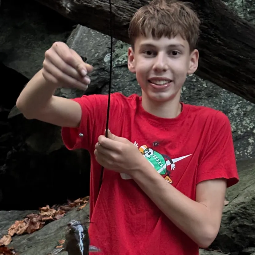 Brown bullhead caught on Fishbrain