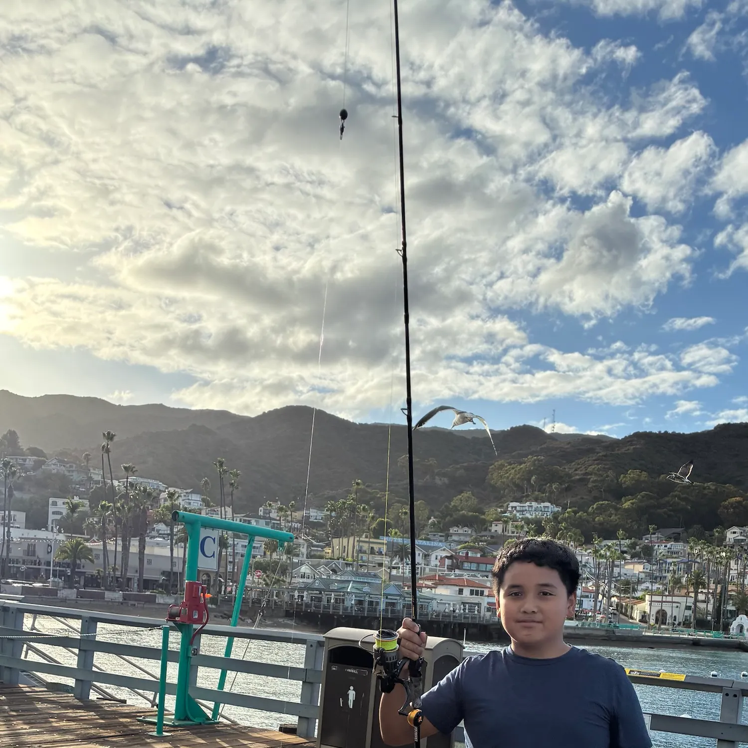 Kelp bass caught on Fishbrain