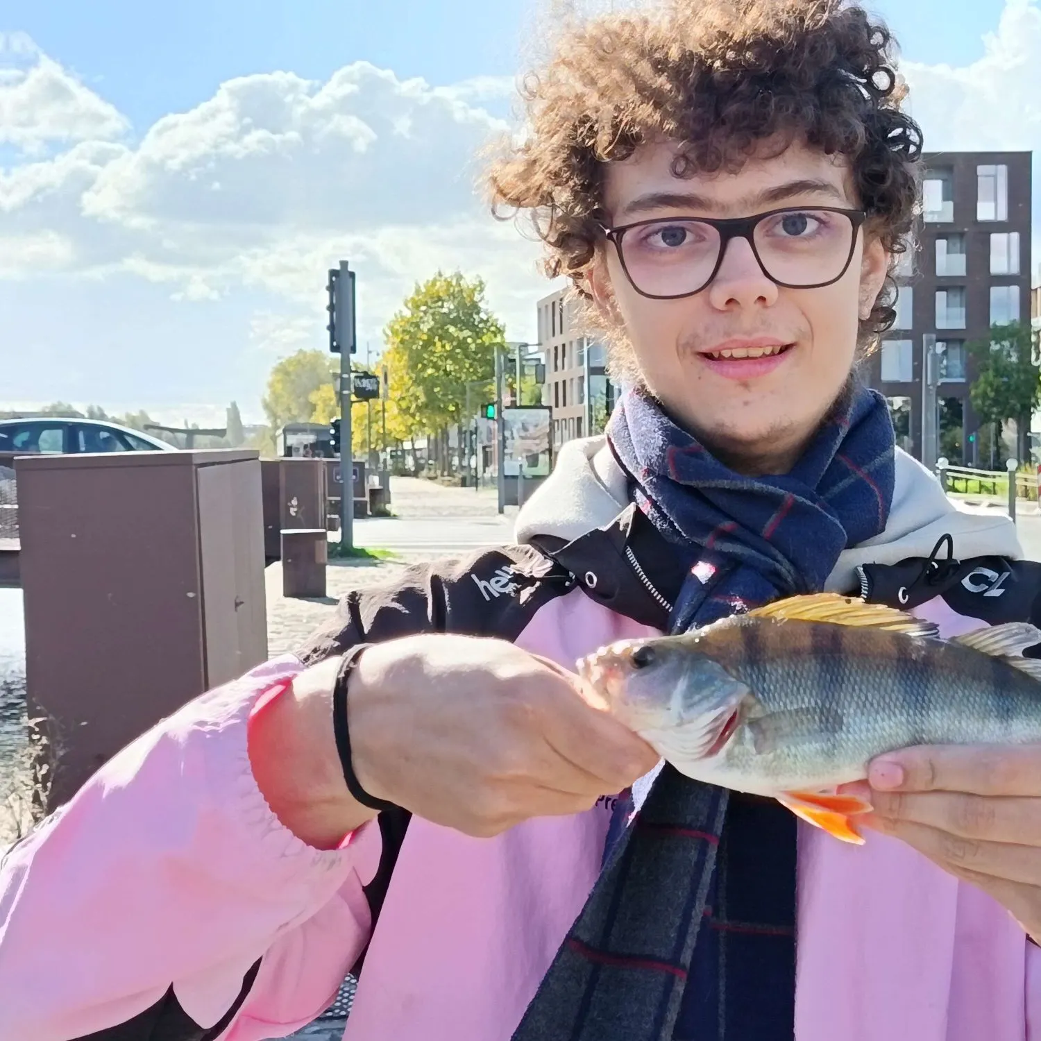 European perch caught on Fishbrain