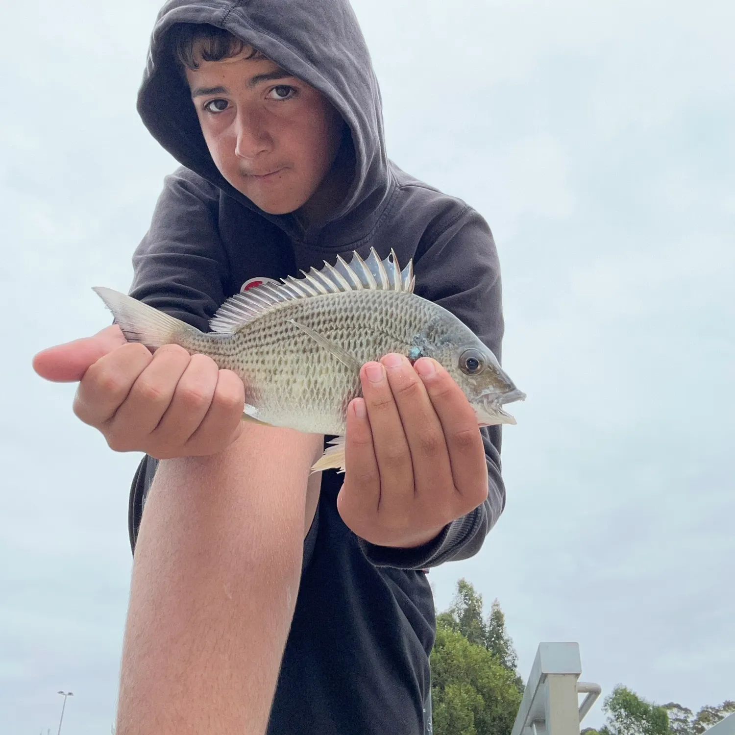 catch