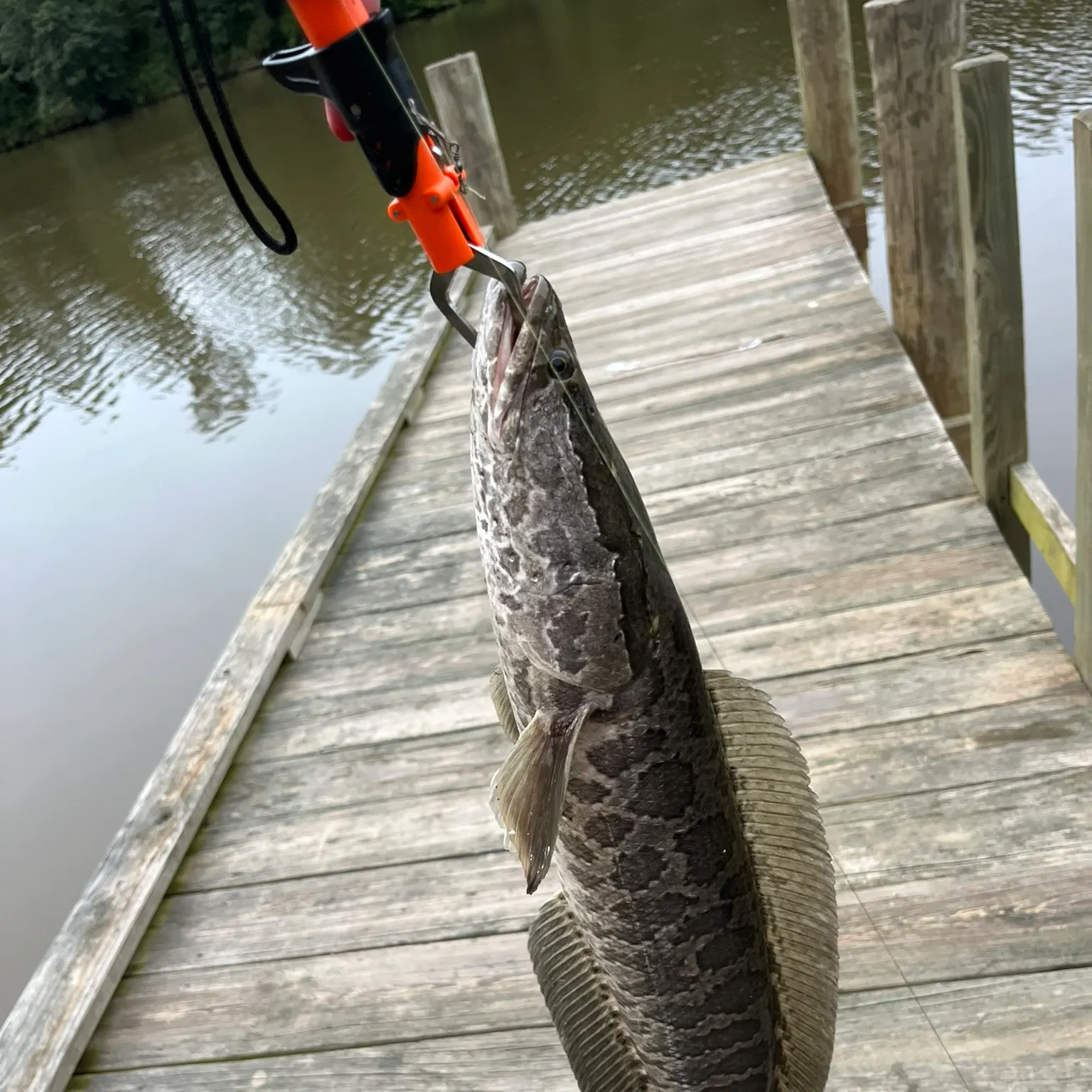 catch