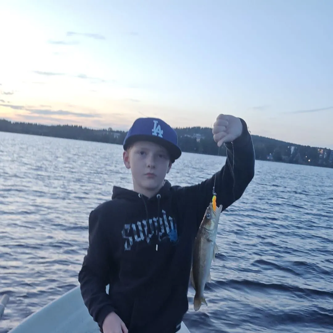 Zander caught on Fishbrain