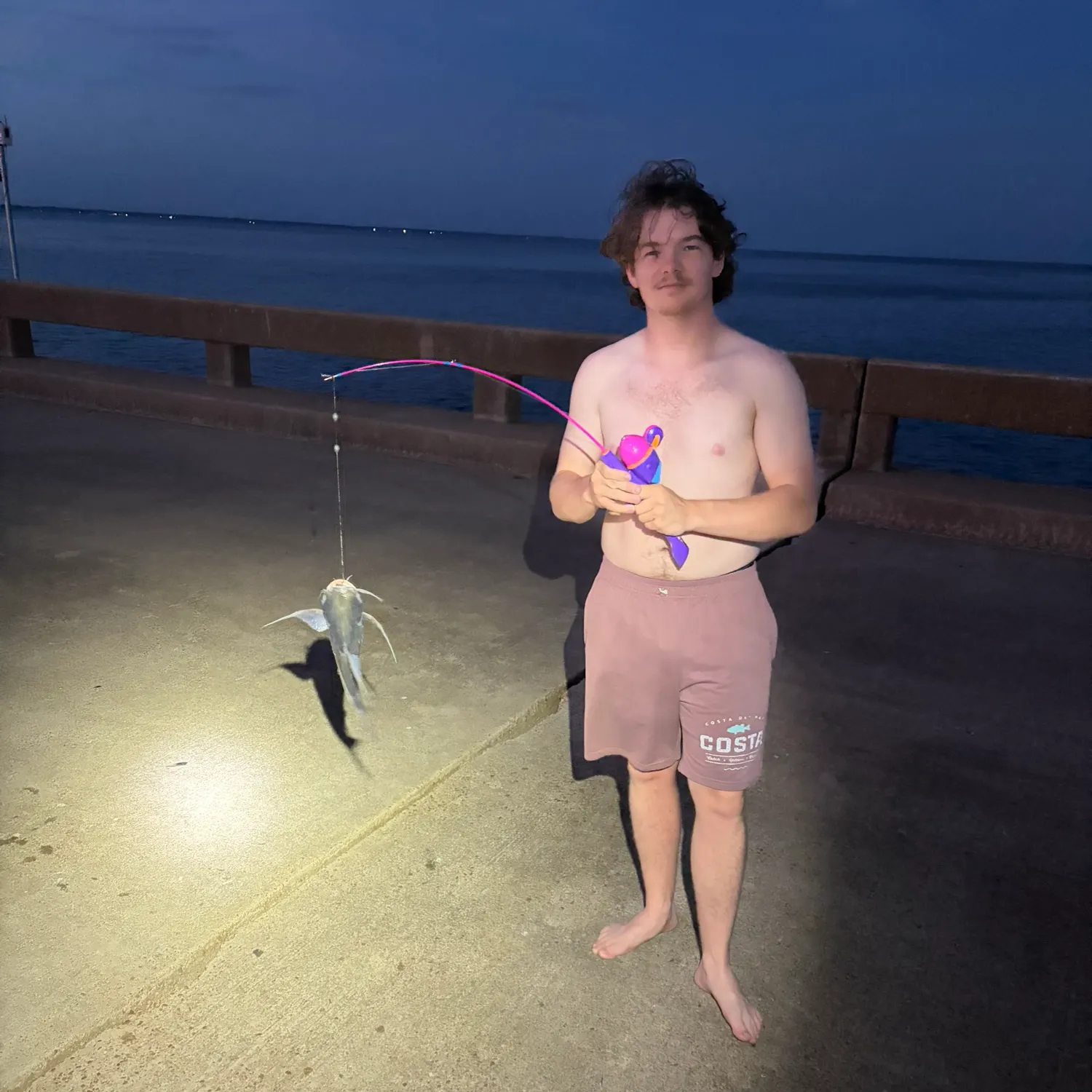 Gafftopsail sea catfish caught on Fishbrain