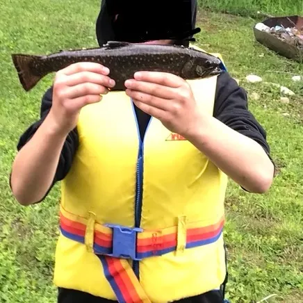 Brook trout caught on Fishbrain