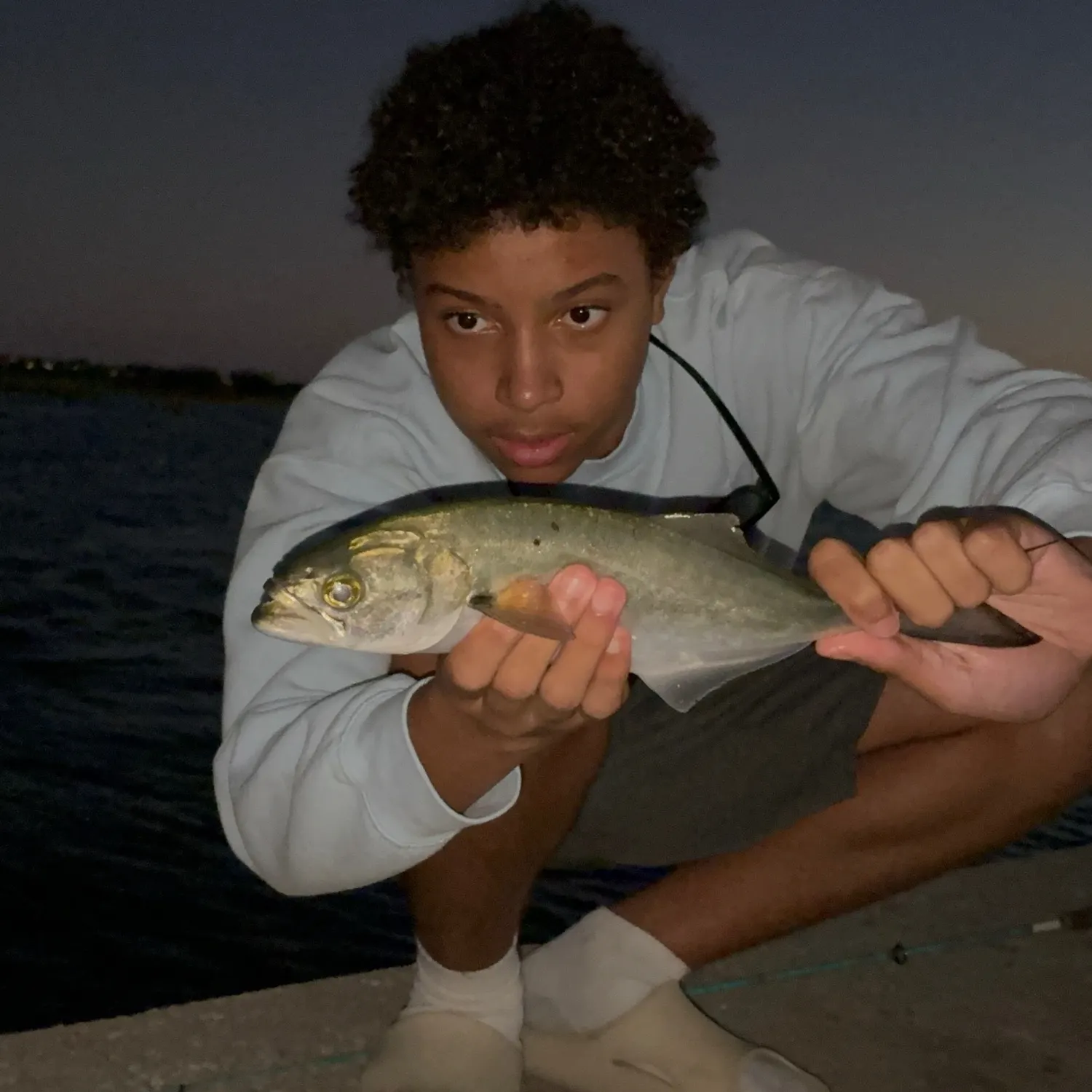 Bluefish caught on Fishbrain