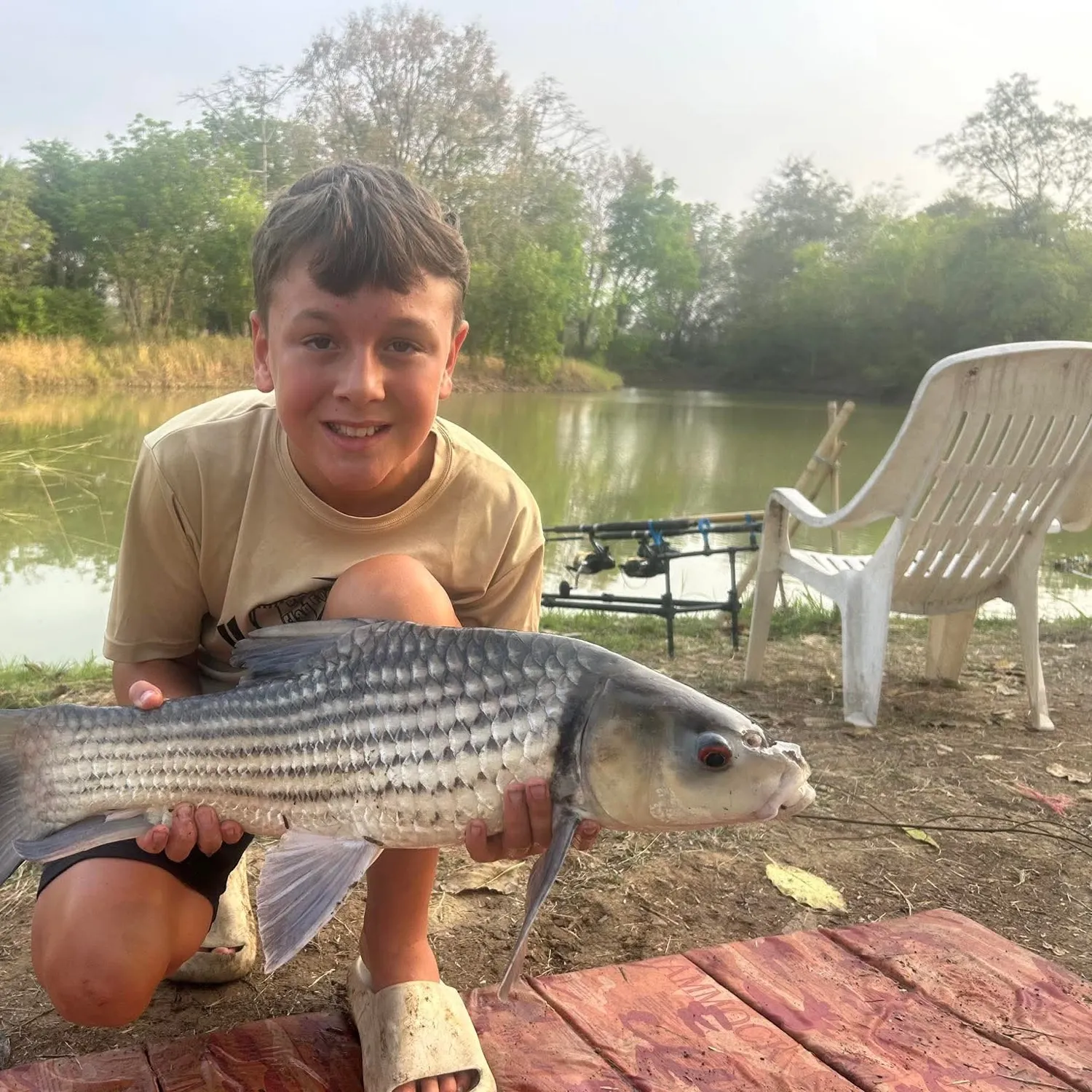 The most recent Julian's golden carp catches on Fishbrain