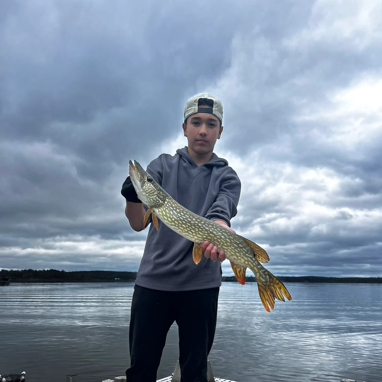 Northern pike caught on Fishbrain