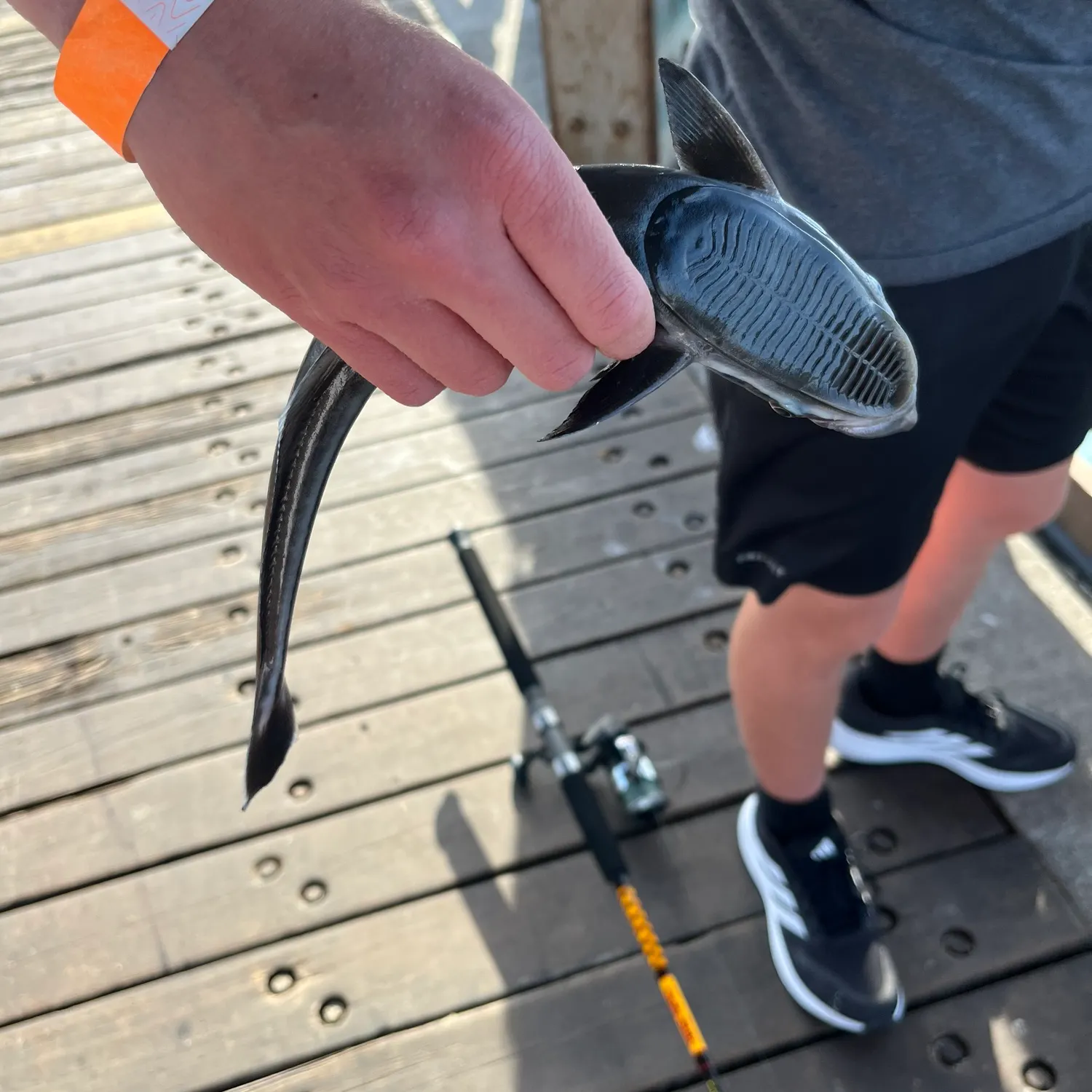 catch