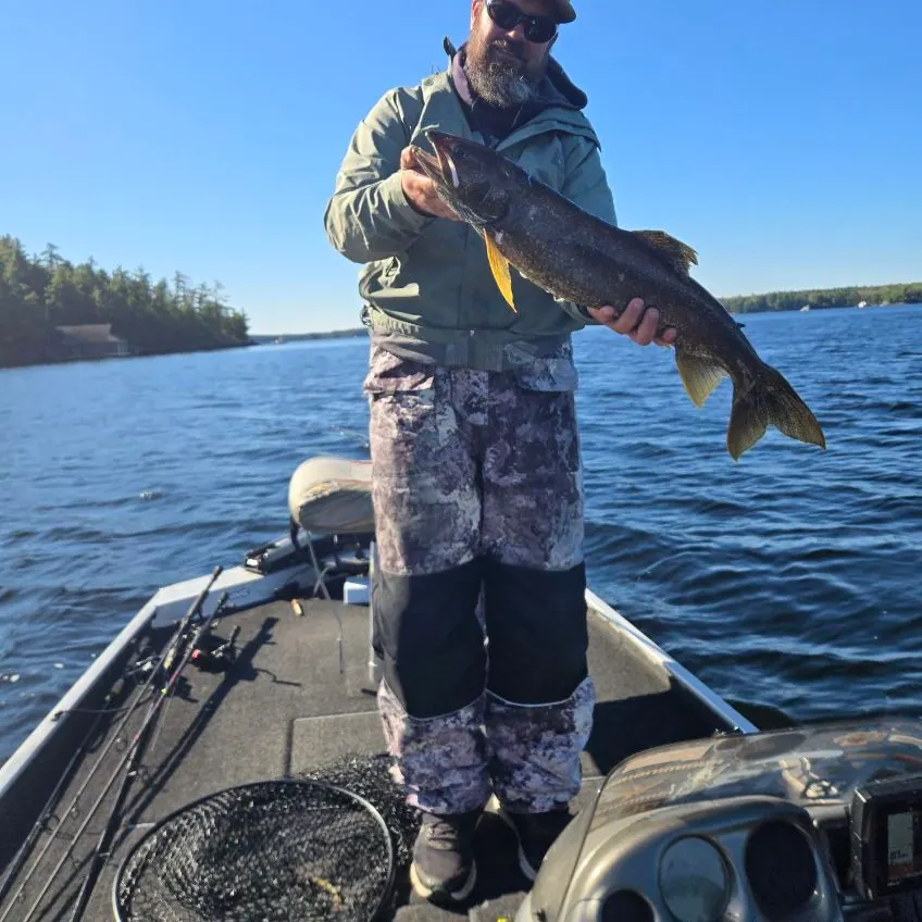 Lake char caught on Fishbrain