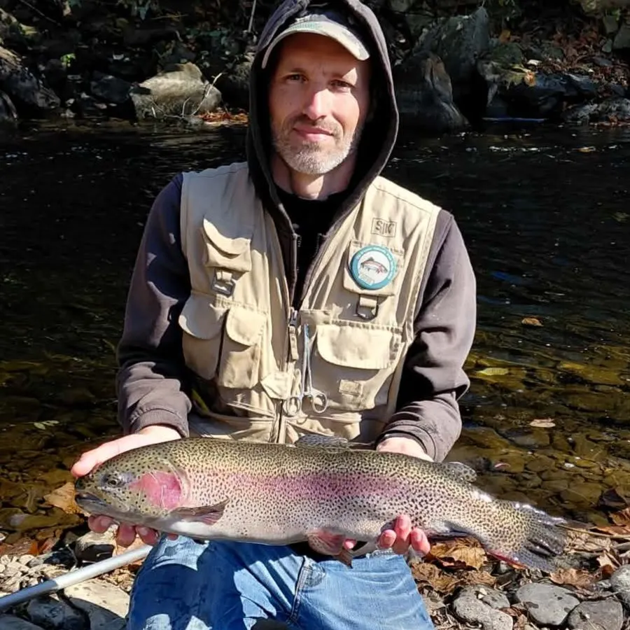 Rainbow trout caught on Fishbrain