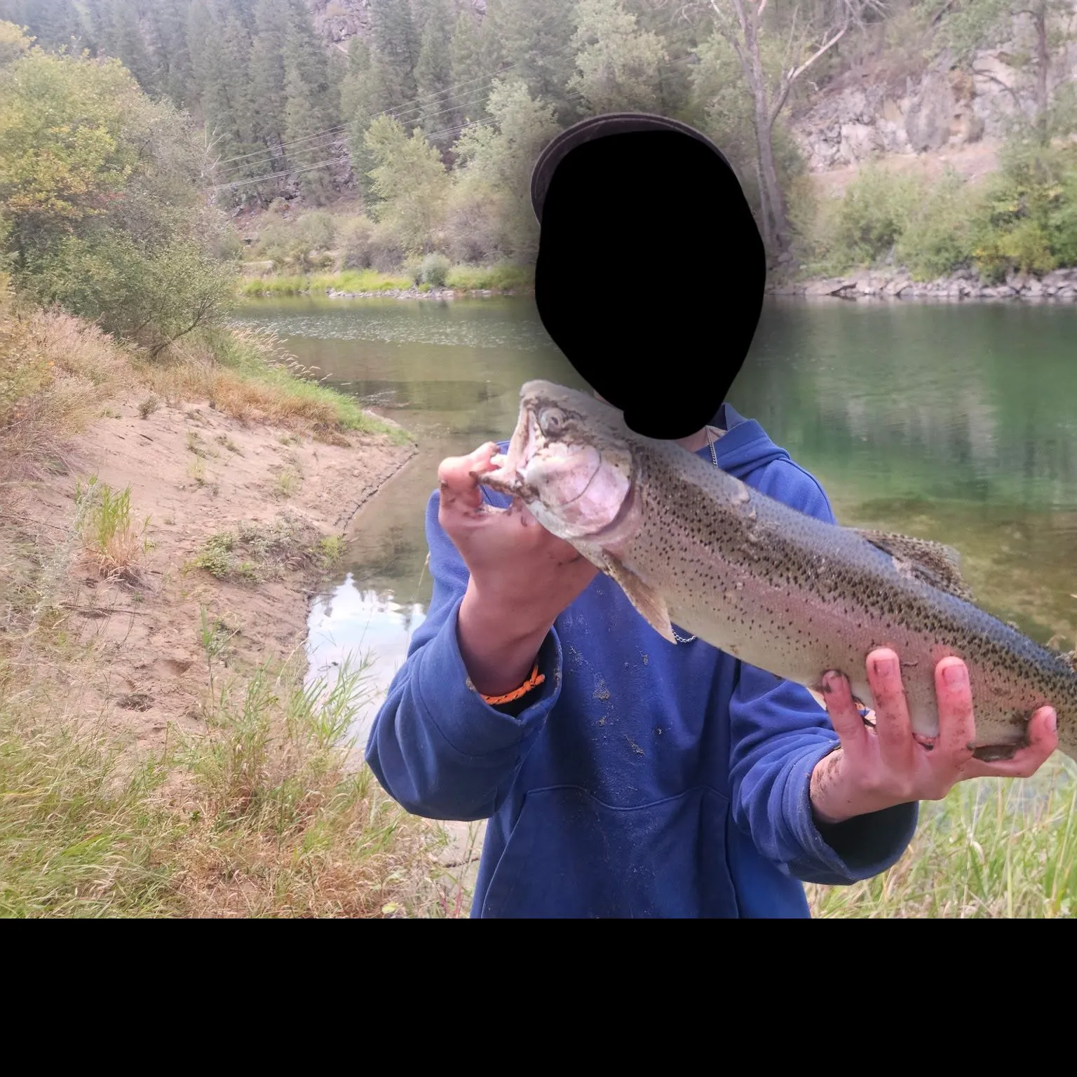 Rainbow trout caught on Fishbrain