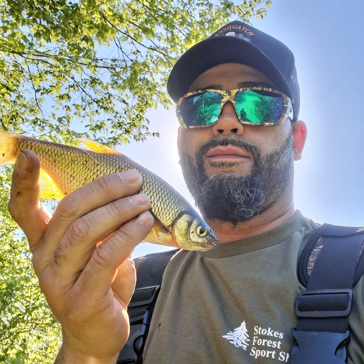Golden shiner caught on Fishbrain