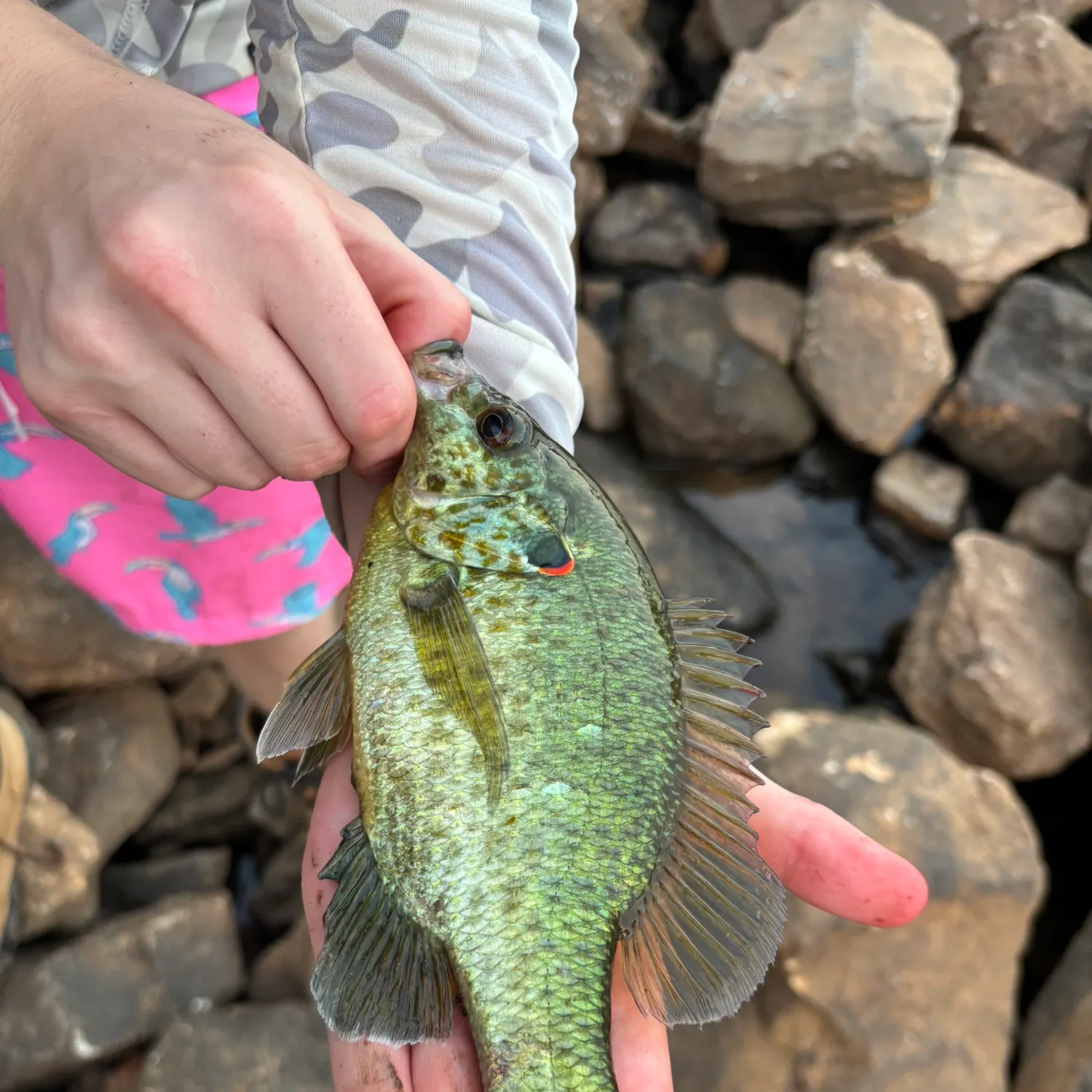 catch
