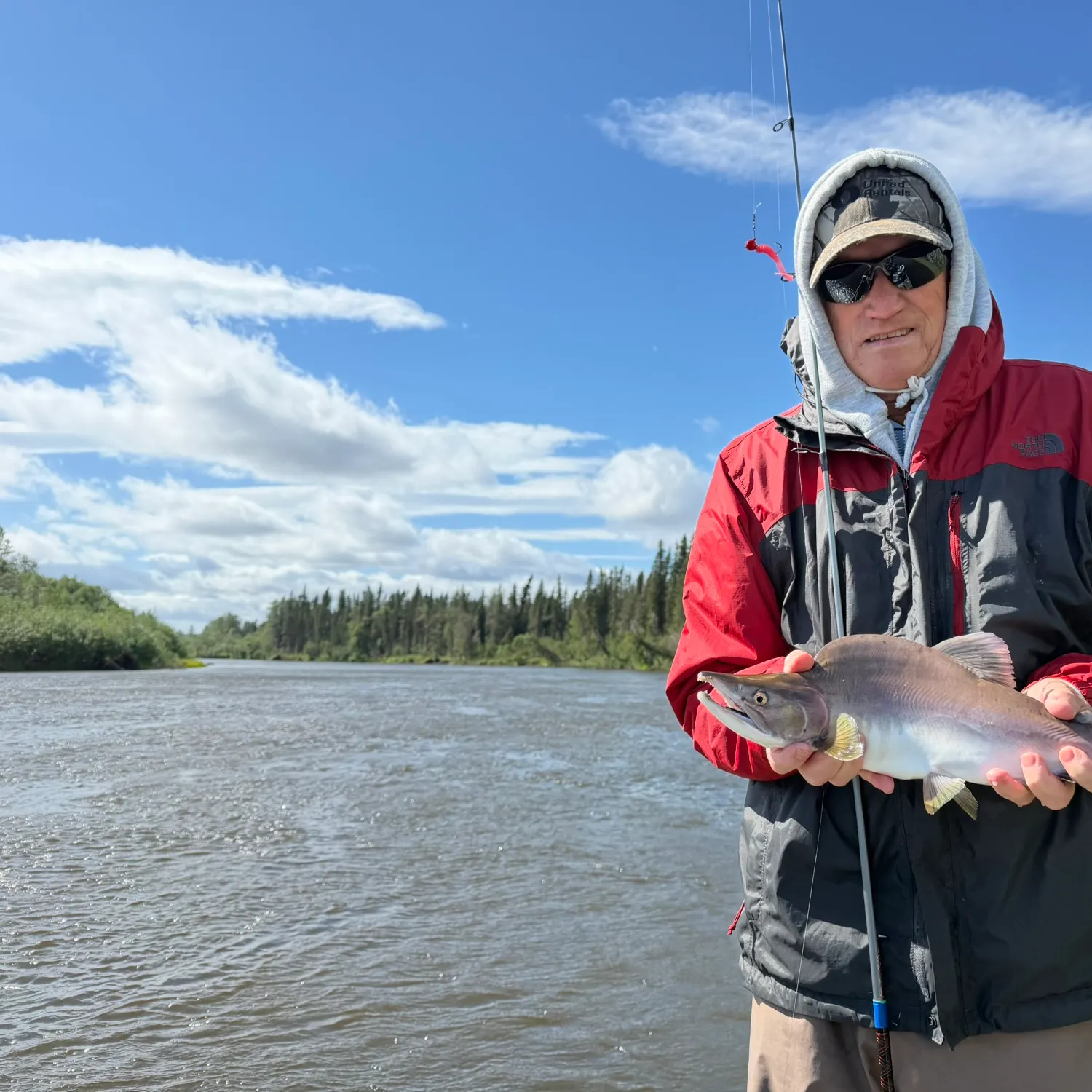 Pink salmon caught on Fishbrain