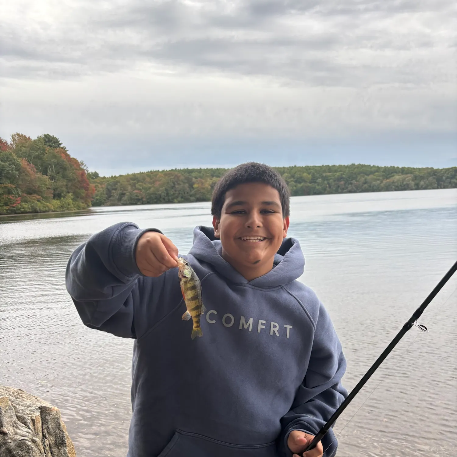 Yellow perch caught on Fishbrain