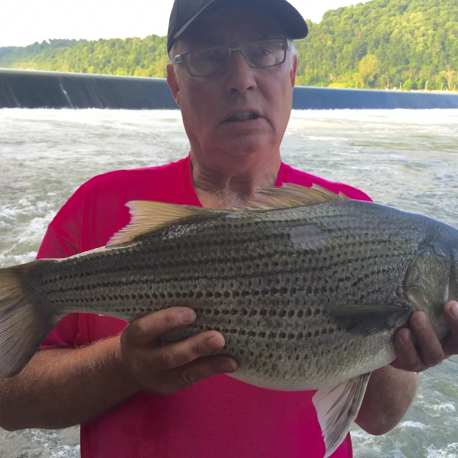 angler catch