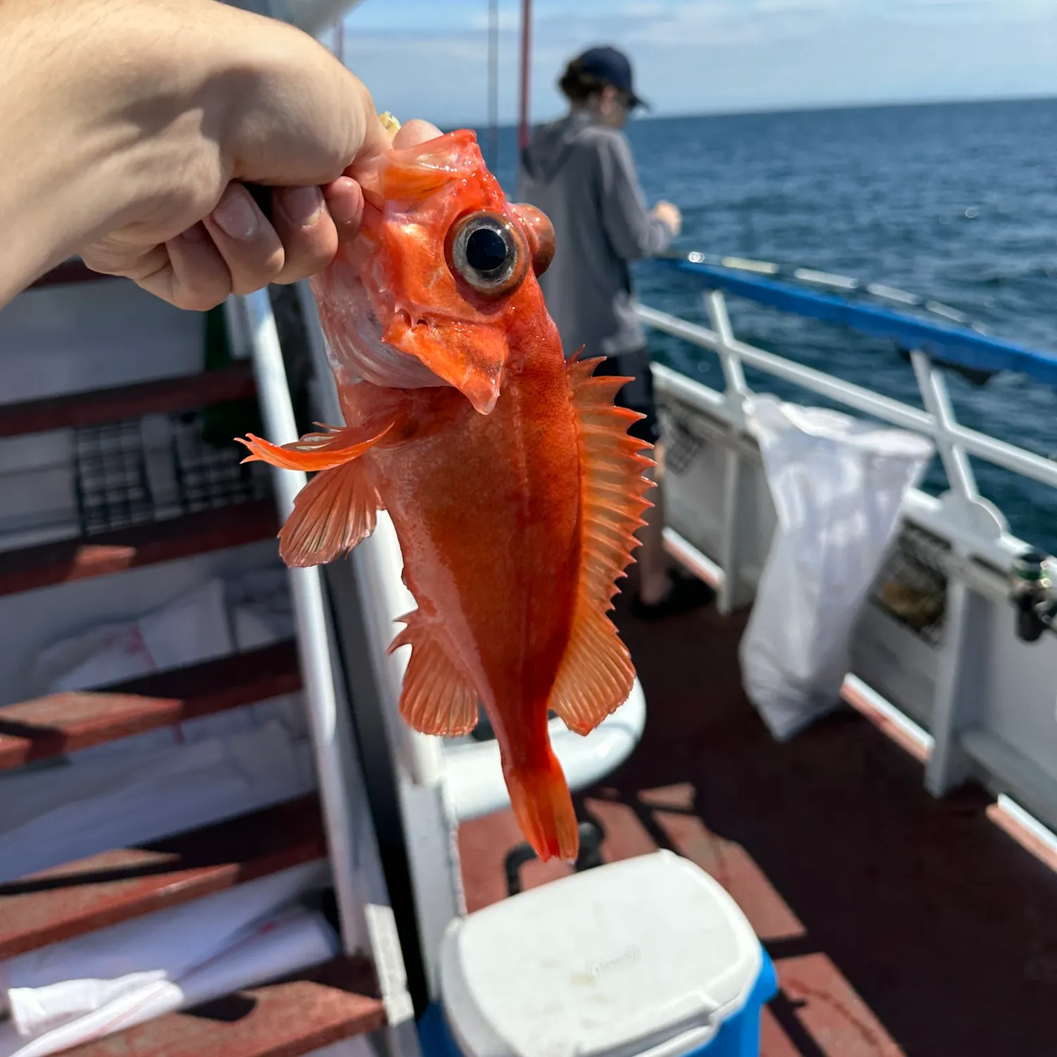 catch