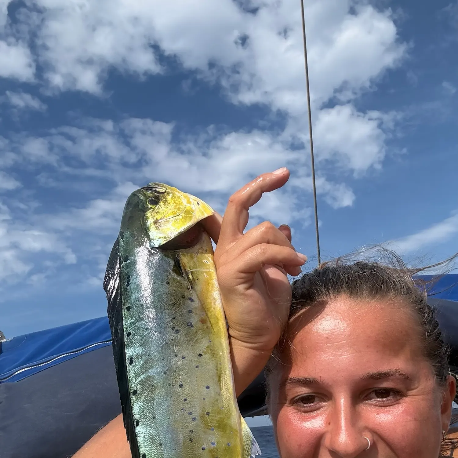 Common dolphinfish caught on Fishbrain