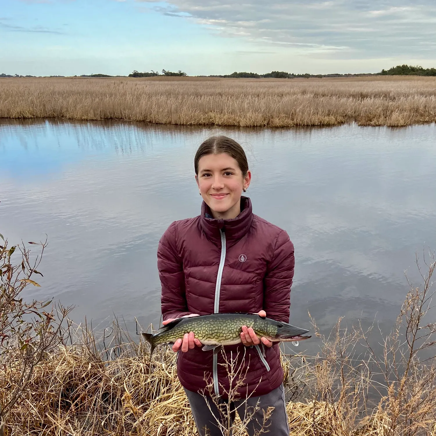 The most recent Chain pickerel catches on Fishbrain