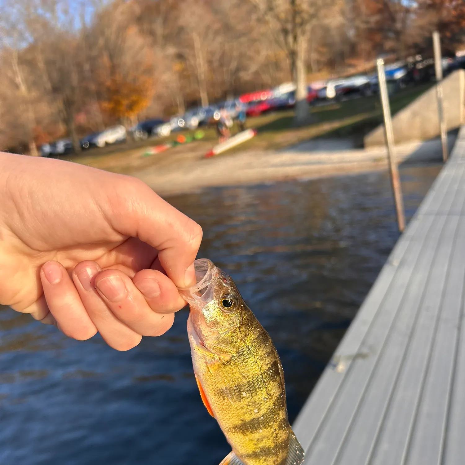 catch