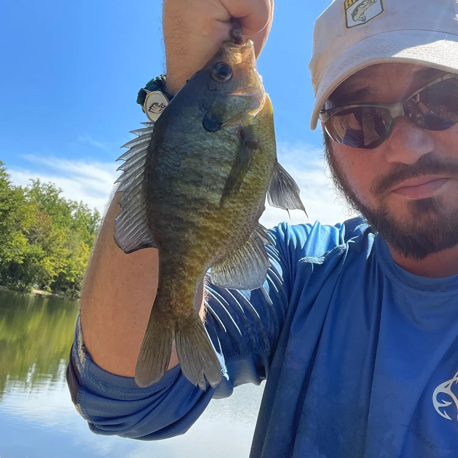 Bluegill caught on Fishbrain