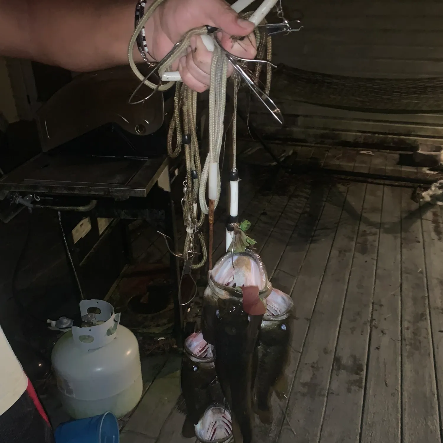 angler catch