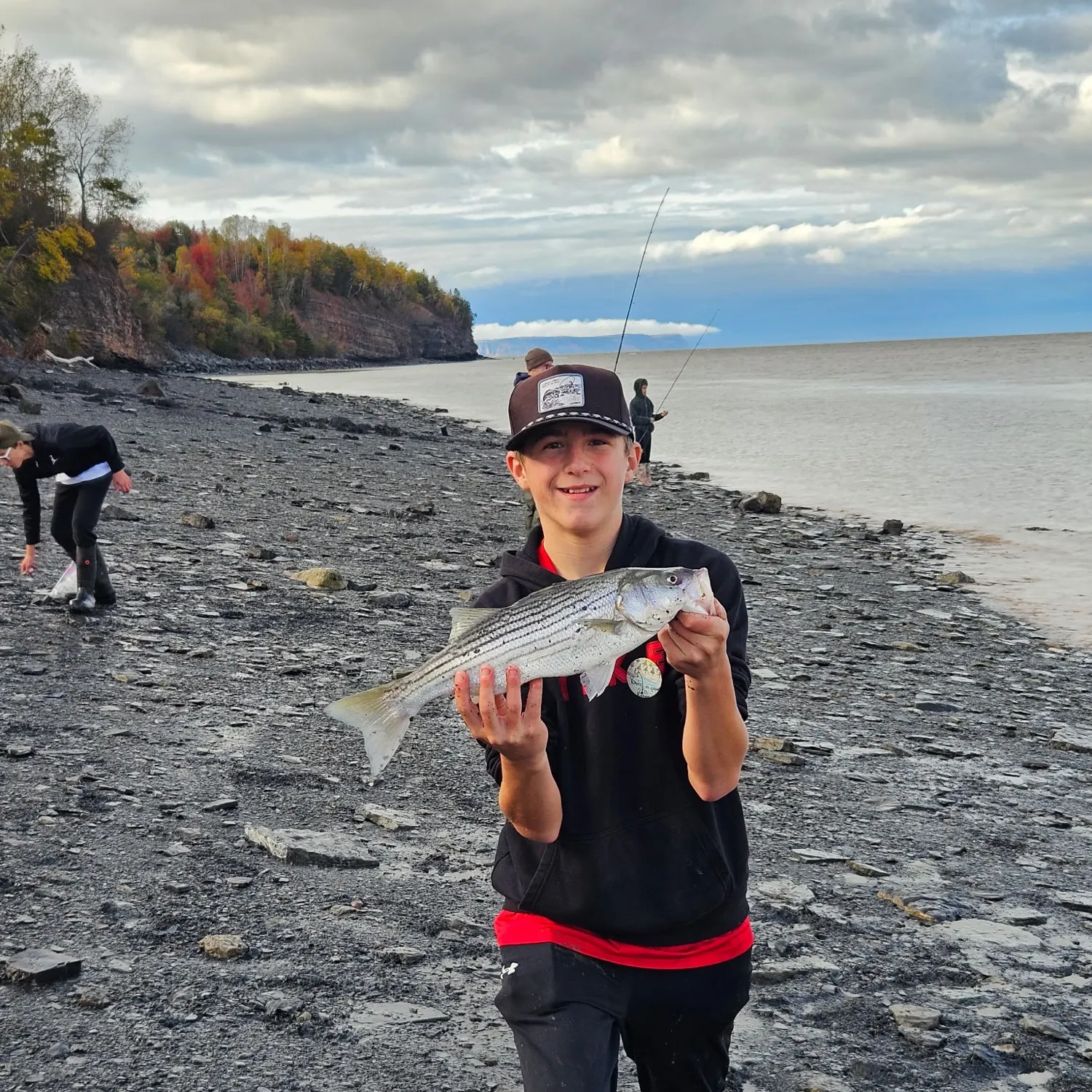 Striped bass caught on Fishbrain
