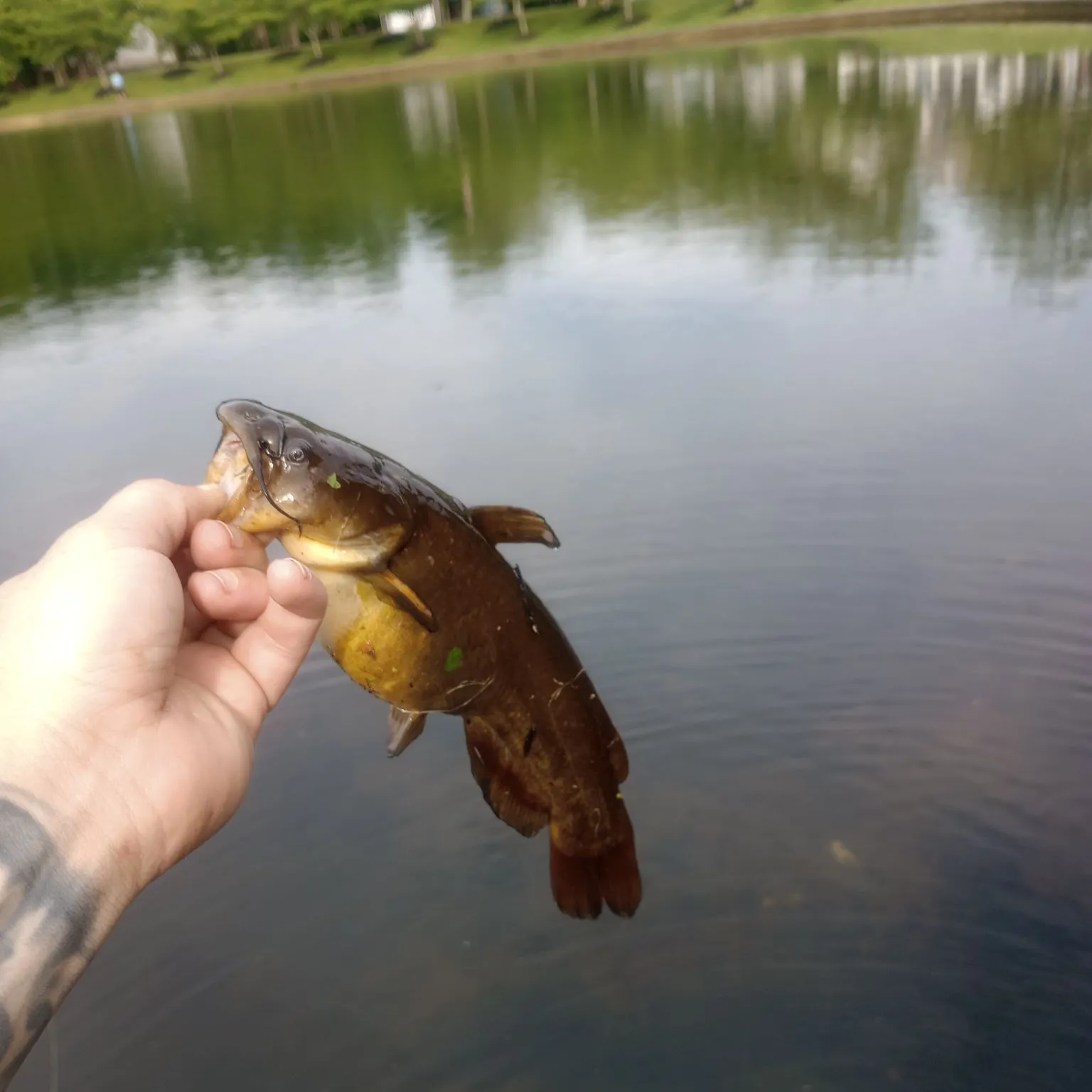 catch