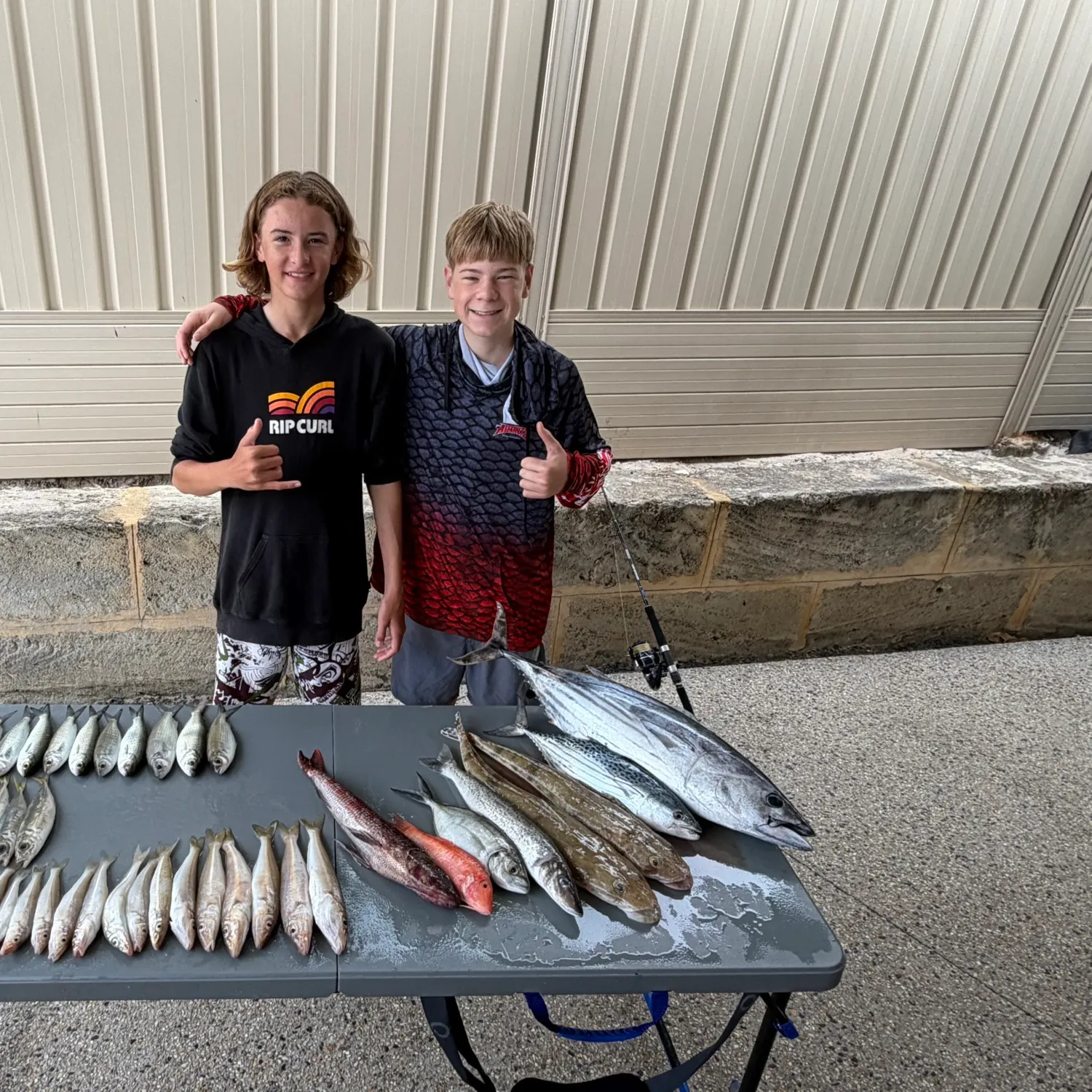 recently logged catches