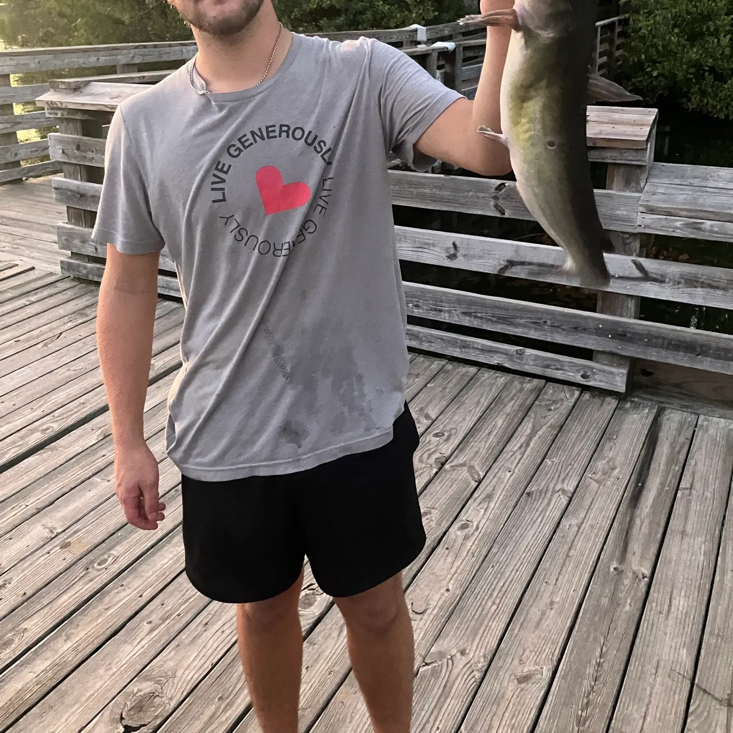 Channel catfish caught on Fishbrain