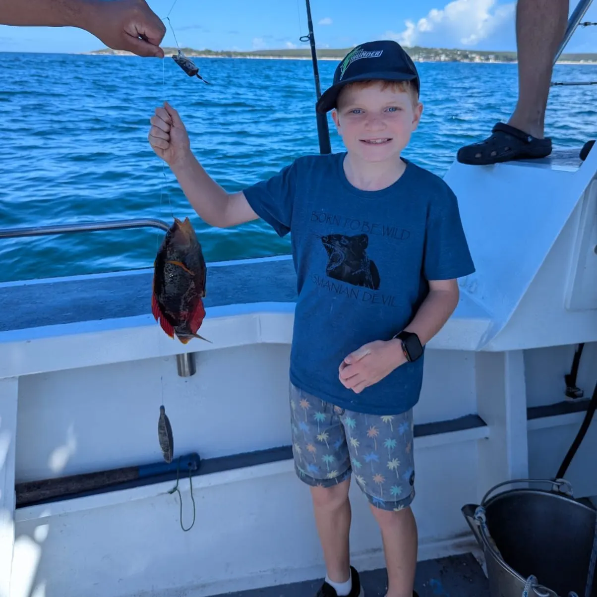 The most recent Gunther's wrasse catches on Fishbrain