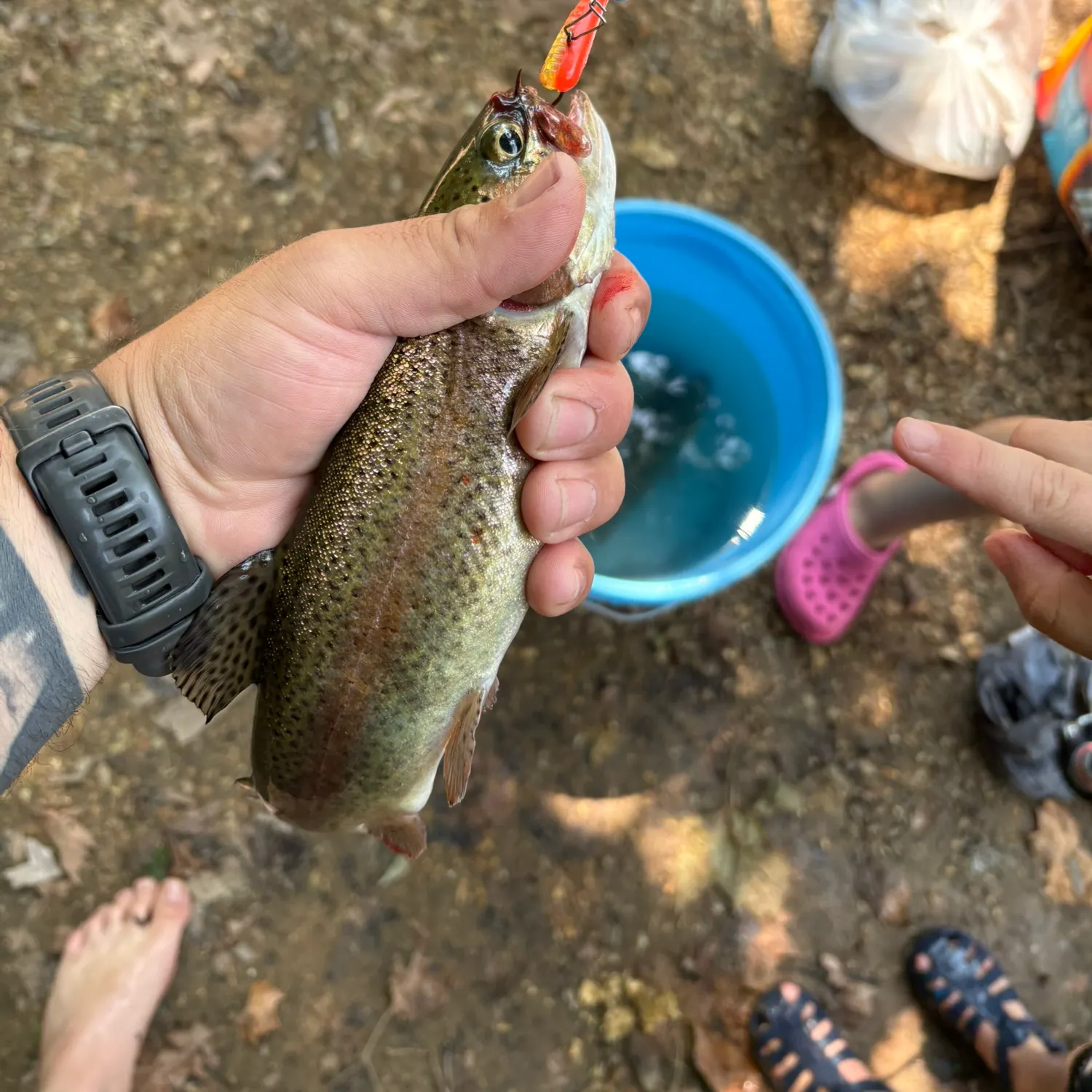 catch
