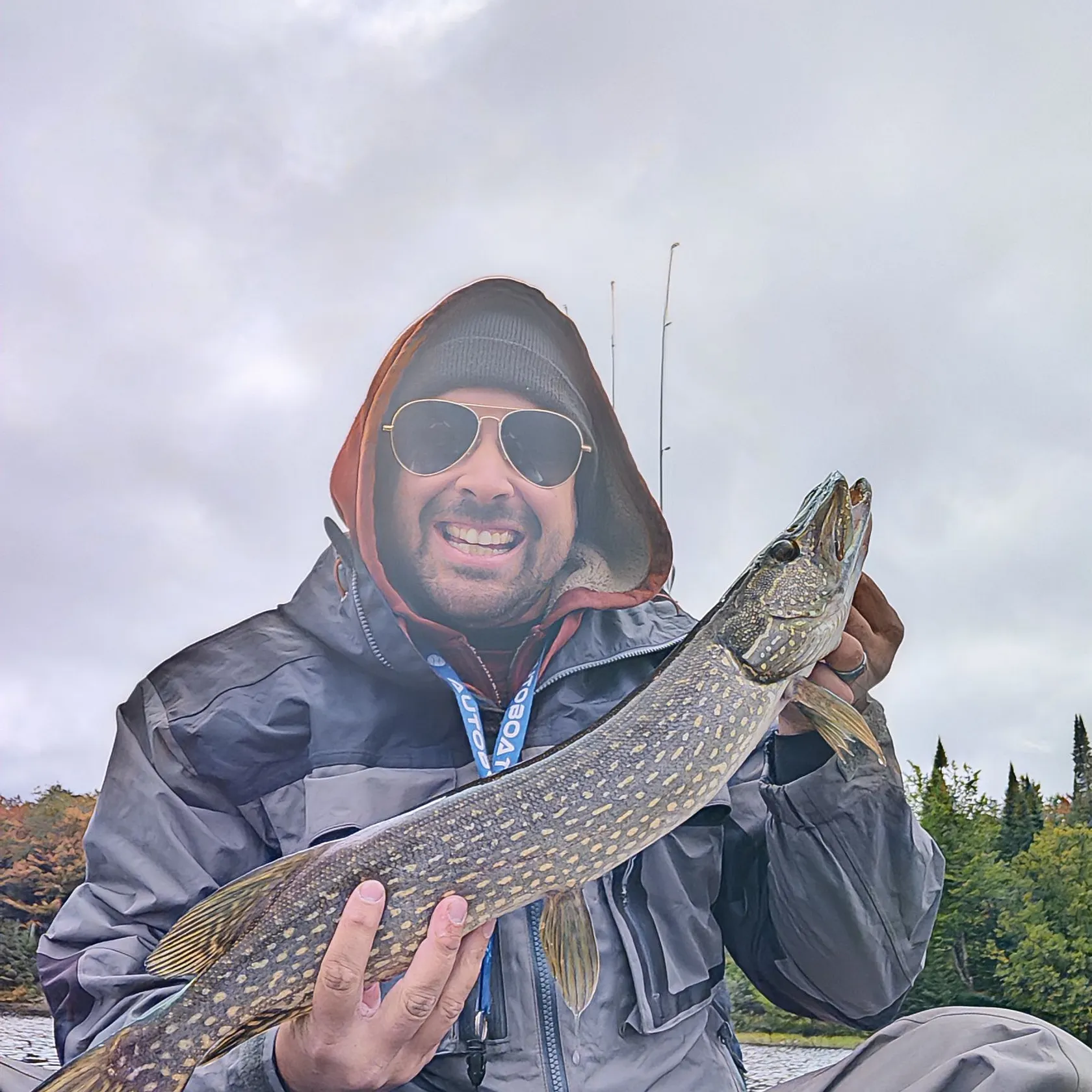 Northern pike caught on Fishbrain