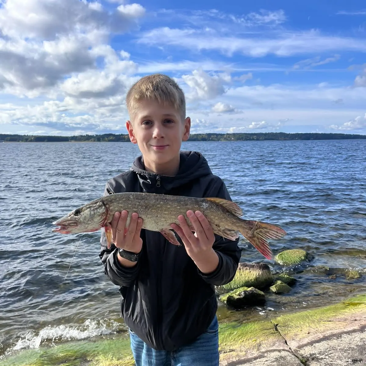 Northern pike caught on Fishbrain
