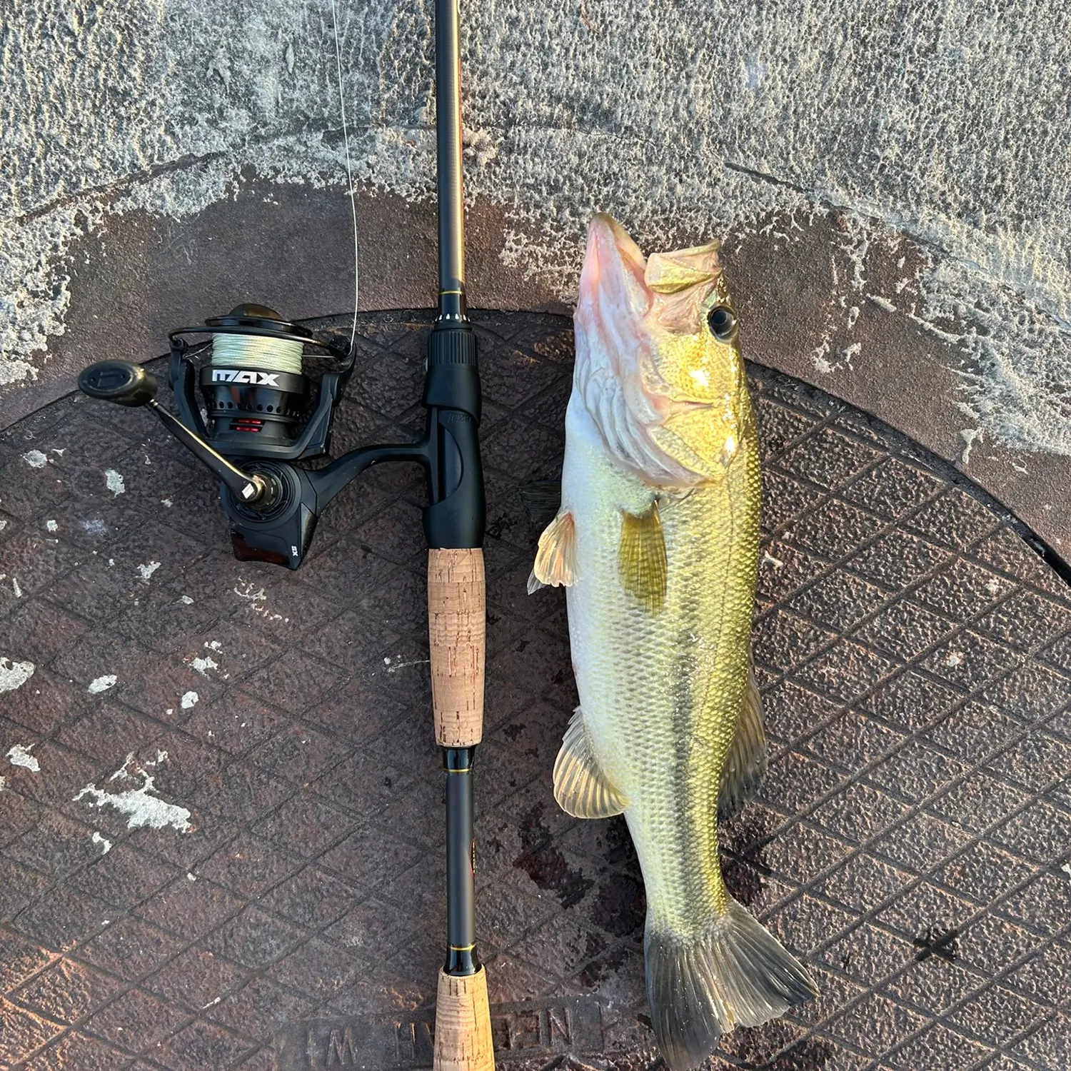 Largemouth bass caught on Fishbrain