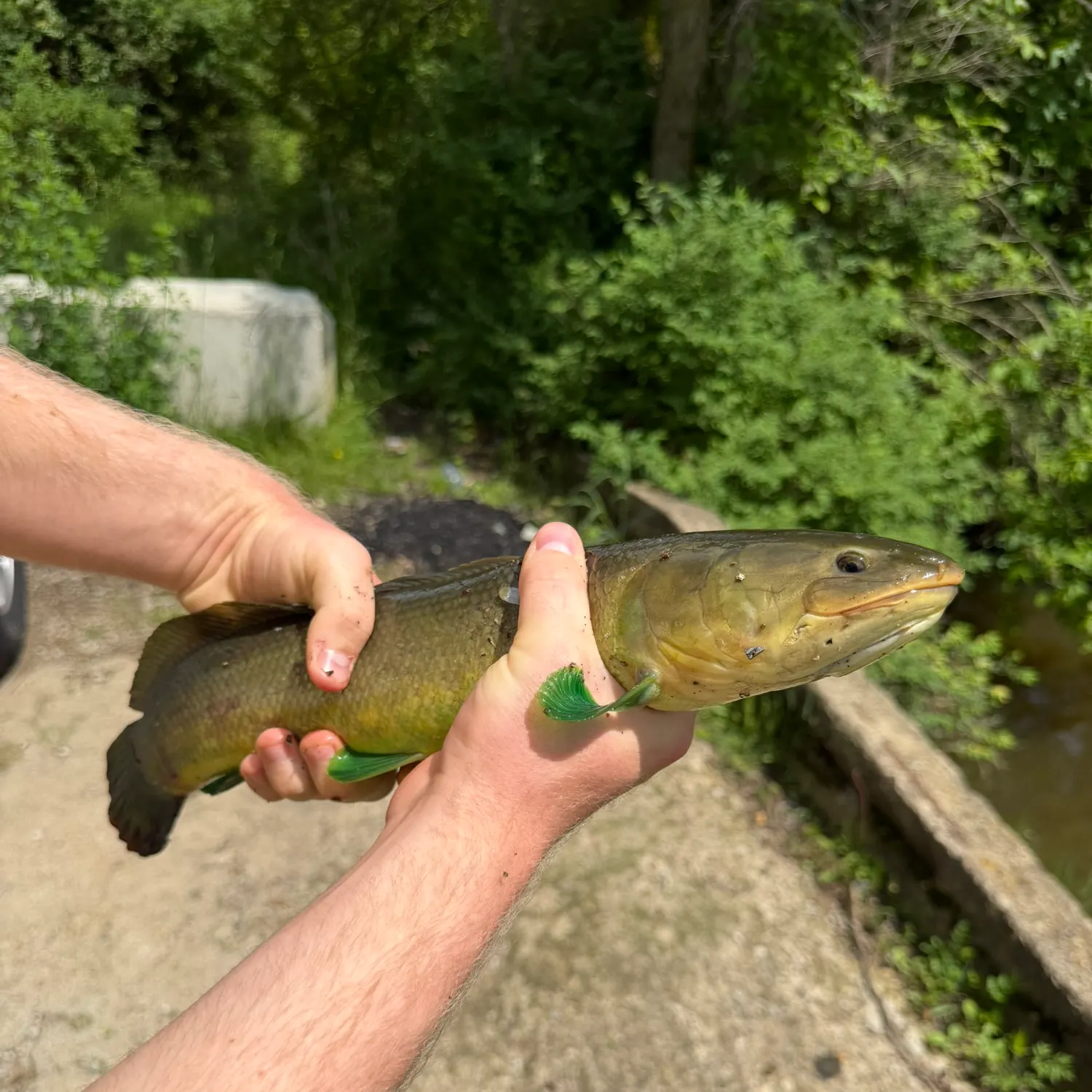 catch