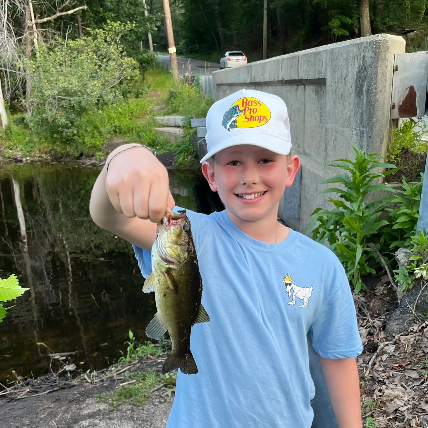 The most recent Guadalupe bass catches on Fishbrain