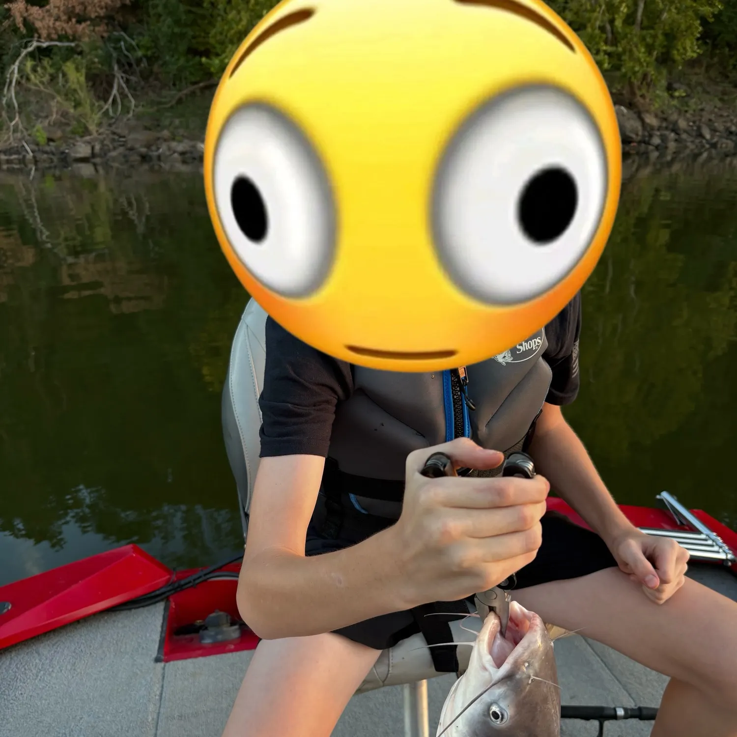 Blue catfish caught on Fishbrain