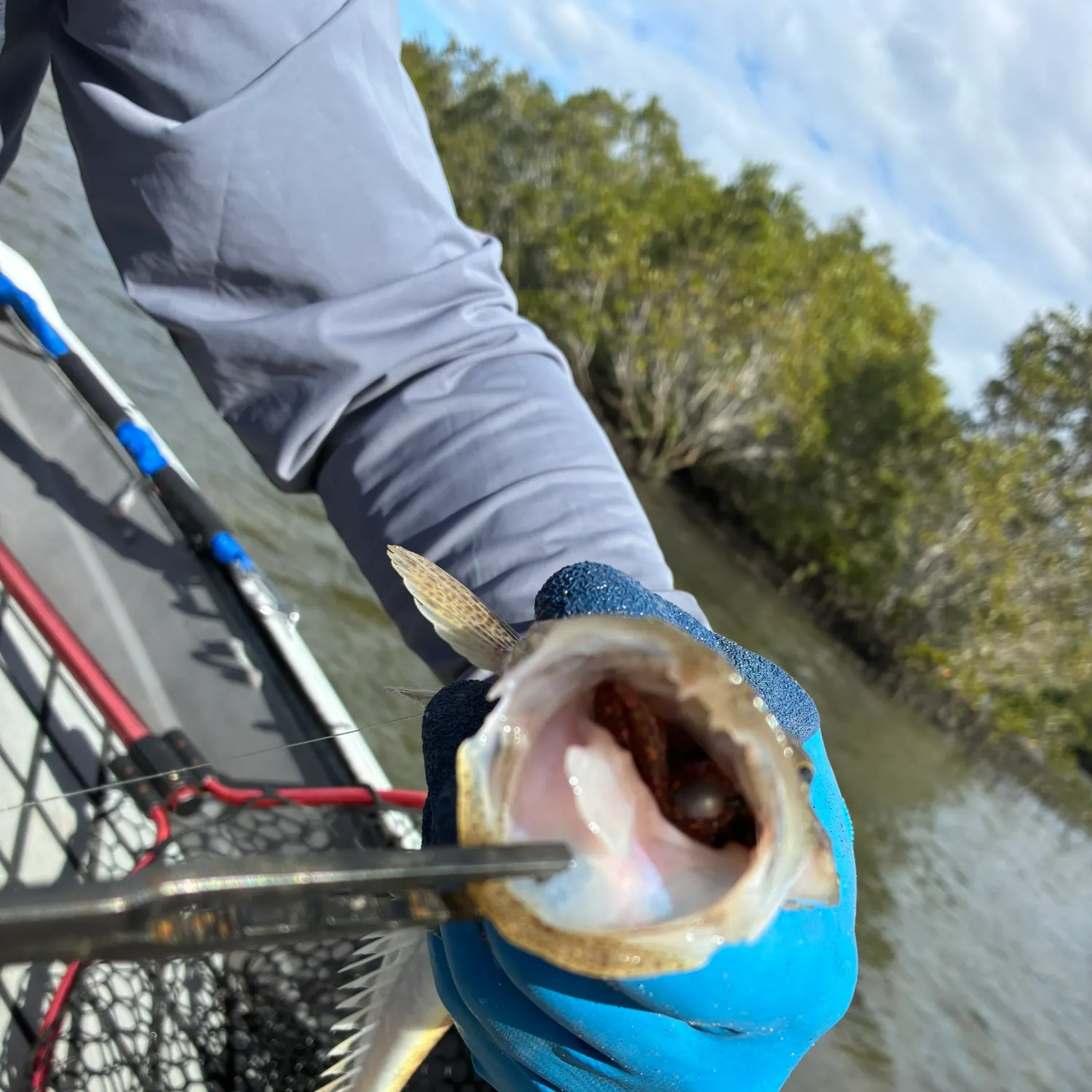catch