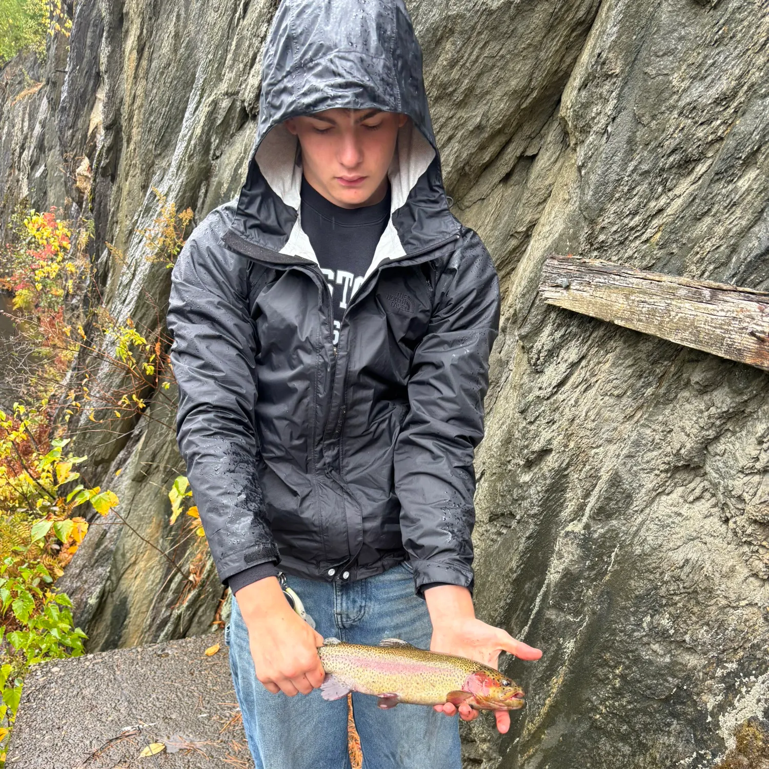 Rainbow trout caught on Fishbrain